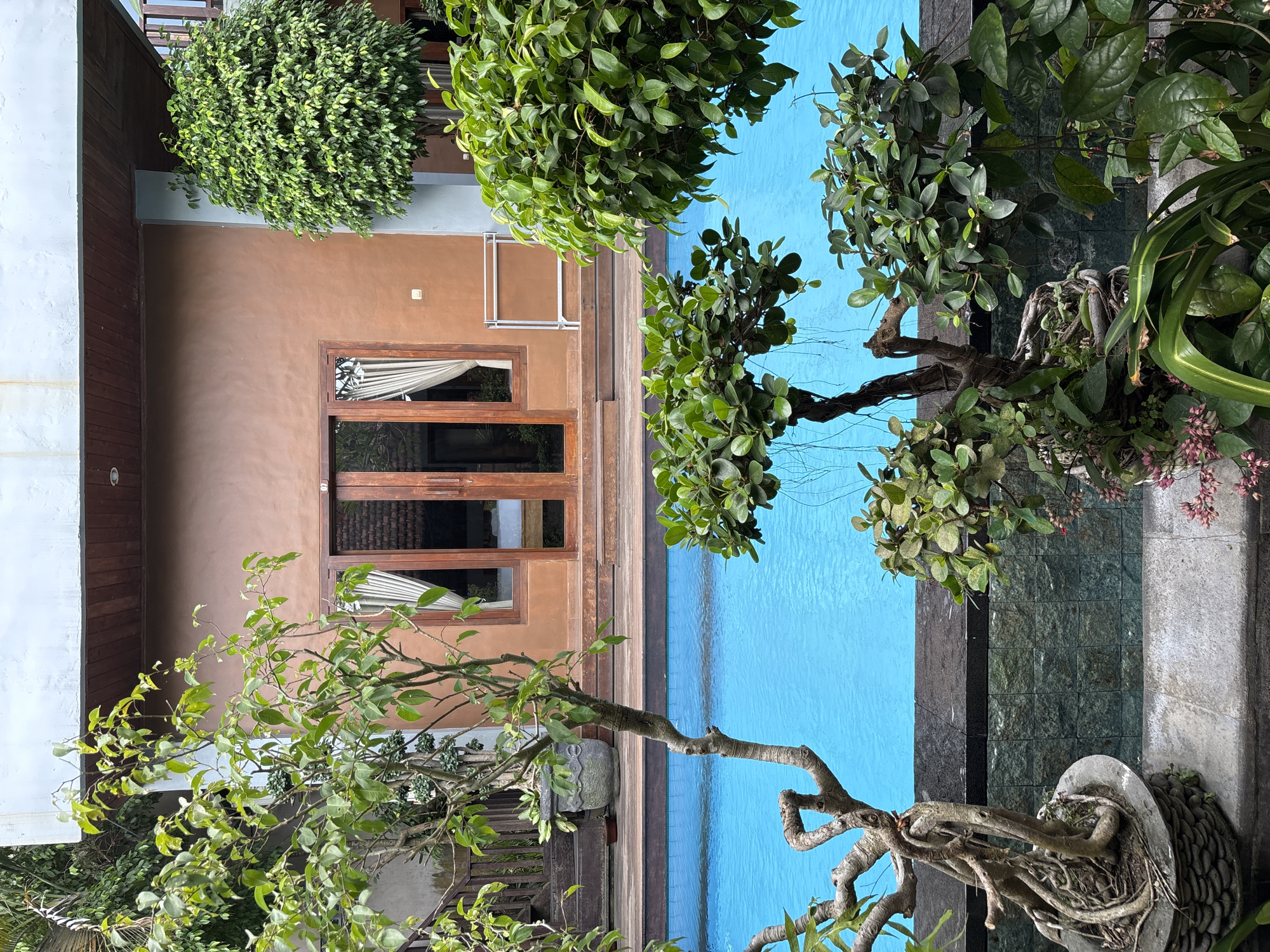 The image presents an overhead perspective of a serene outdoor swimming pool and an adjacent building, characteristic of a tropical resort or private villa. The bright blue water of the rectangular pool dominates the right side of the frame, reflecting ample daylight.
To the left of the pool stands a building with a warm, earthy brown-colored facade. This structure features several wooden-framed glass doors and windows, through which white blinds or curtains are visible. A white-colored clothes drying rack is mounted on the brown wall above the doors. Further left, parts of a light grey wall and dark wooden paneling are visible, suggesting additional architectural elements.
Lush green foliage is abundant throughout the scene. Dense green bushes and trees, some with thick, gnarled branches and exposed roots, are strategically placed around the pool and building. Some of these trees are housed in decorative, textured stone planters. One prominent branch extends over the pool, adding to the natural canopy. On the far side of the pool, a section of a dark grey or black tiled wall is adorned with small pebbles or stones, and hints of small pinkish-red flowers emerge from the surrounding greenery.
The scene conveys a peaceful and relaxing atmosphere, typical of a tropical vacation setting. The bright, natural light indicates it is daytime. No individuals or discernible text are present in the image. Given the location context of Pekutatan, Indonesia, the architectural and landscaping styles align with a Balinese or Southeast Asian aesthetic.