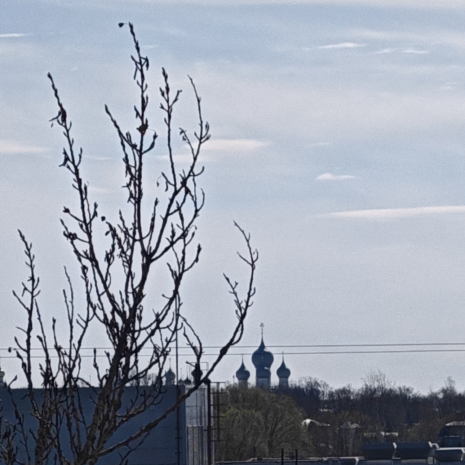 The image presents a daytime urban landscape in Rostov, Russia, framed by the intricate silhouette of a bare tree in the foreground. The tree, likely in late winter or early spring, displays a dense network of leafless branches and small buds against the sky.
In the midground, the skyline reveals a scattering of buildings and a prominent, distant cluster of two distinct onion domes, characteristic of Russian Orthodox churches. The taller central dome is topped with a cross, while a smaller dome is visible to its left. Another dome is partially obscured further left. Horizontal utility lines stretch across the mid-distance, passing above these architectural landmarks and a strip of distant, mostly bare trees that hint at a broader natural landscape.
The background consists of a bright, light blue sky with sparse, wispy white clouds, indicating clear weather. The overall lighting suggests it is daytime, possibly morning or early afternoon. The scene conveys a quiet, contemplative atmosphere, focusing on the interplay between natural forms and distant urban architecture, devoid of any visible human activity or text.