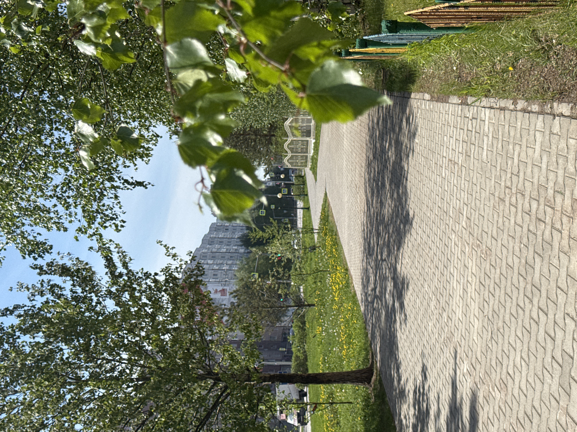 The image depicts an outdoor urban or suburban scene on a bright, sunny day, likely in Megion, Russia. The perspective is looking along a paved pedestrian path that extends from the lower center of the frame towards the upper right.
In the immediate foreground, lush green tree branches and leaves are prominent, particularly in the upper left, partially obscuring the clear blue sky. Alongside the paved path, on its left side, is a vibrant strip of green grass dotted with numerous small yellow and white wildflowers. More trees with green foliage are visible in the mid-ground, lining this grassy area.
The paved path itself is made of light-colored, interlocking concrete pavers, and clear, distinct shadows from overhead trees are cast across its surface, suggesting strong sunlight.
In the mid-ground to background, on the left side, a large, multi-story building with a light-colored facade dominates the upper left quadrant. A banner or sign on the building's side features indistinct text, possibly Cyrillic characters such as "Л" or "К". Along the street or pathway leading towards this building, several poles with small square signs are visible, potentially marking pedestrian crossings or road features. A low, decorative, light-colored fence also appears in the mid-ground, separating parts of the scene. In the far background on the right side of the path, some colorful stacked objects, possibly playground equipment or materials, can be seen next to another patch of grass.
No people or explicit activities are visible, presenting a serene view of a well-maintained urban green space. The time of day appears to be mid-morning or afternoon due to the strong shadows and bright sunshine under a clear blue sky.