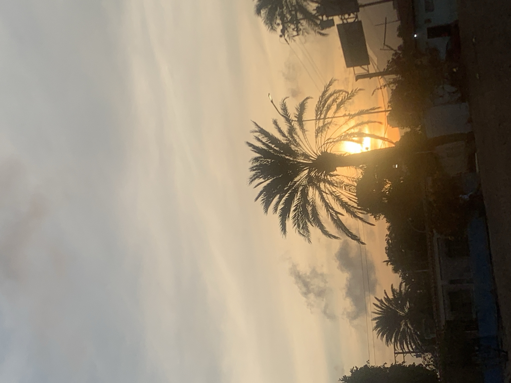 The image captures a sunset scene with silhouetted palm trees against a sky filled with warm golden hues. The sun is positioned behind the palm tree, creating a halo effect. The scene appears to be near a building on the right side of the frame. The location seems to be Porlamar, Venezuela.