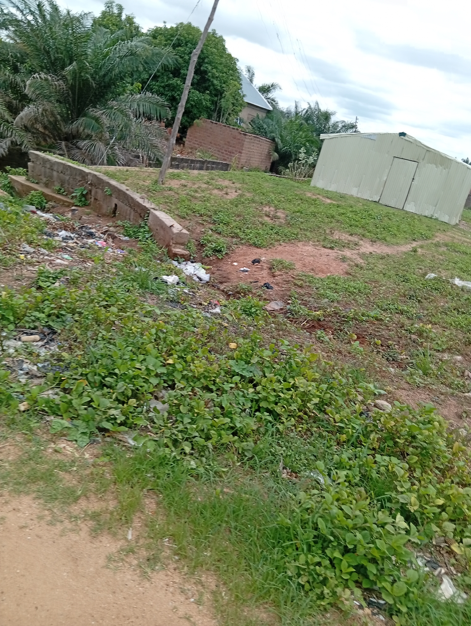 The image depicts an outdoor scene with a focus on a cluttered, overgrown area. In the foreground, a sandy path is visible on the left, bordered by lush green vegetation. The ground is uneven, with patches of dry earth and grass.
Further into the scene, a concrete structure runs horizontally, with debris and trash accumulated along its base and in the surrounding area. This suggests a neglected or unmanaged space. Behind the concrete structure, the ground slopes upwards, covered in a mix of grass and reddish-brown soil.
In the mid-ground, a light-colored, corrugated metal building with a door is situated on the right. This building appears to be a simple shed or storage unit. To the left of the metal building, a brick structure, possibly a partially built wall, is visible. Tall trees and palm trees form a dense backdrop, with some of the trees appearing dry and withered. A thin wooden utility pole stands tall amidst the vegetation.
The sky is overcast with clouds, indicating a potentially gloomy or humid day. There are no people visible in the image, and no specific activity or event is taking place. The overall impression is one of a rural or semi-urban fringe location, possibly in Jalingo, Nigeria, characterized by natural growth and signs of human presence in the form of structures and discarded waste. The time of day is not clearly discernible due to the overcast sky, but it appears to be daytime. No text is visible in the image.