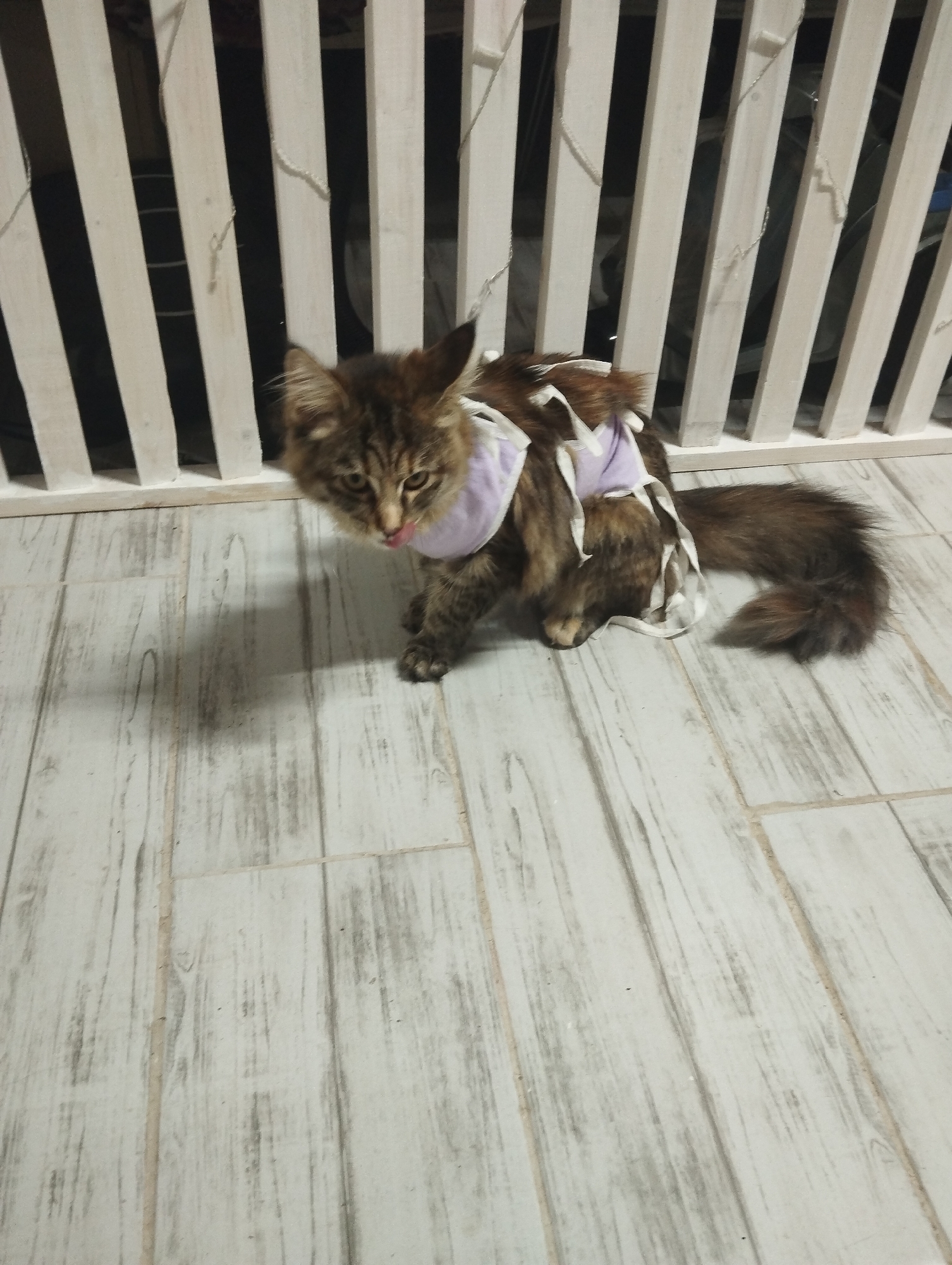 An indoor, eye-level photograph taken in Grishanki, Russia, features a medium-sized, fluffy tabby cat. The cat is seated on a light-colored, wood-grain tiled floor, looking towards the camera with its tongue slightly extended, licking its nose or mouth. It wears a light purple fabric garment, possibly a recovery suit, with white ties visible over its back and sides. The cat's fur is a mix of brown, black, and tan, and it has a long, bushy tail. In the background, a white slatted barrier or fence-like structure, possibly part of furniture or a room divider, stands against a darker interior. Thin white strings or wires are draped across the slats. The setting appears to be a well-lit living space. No visible text is present.
