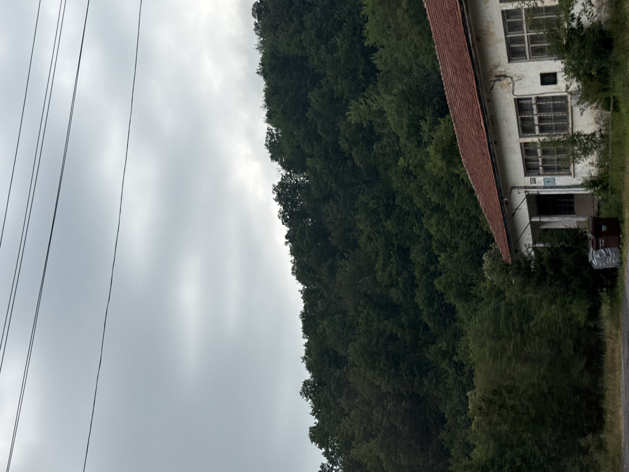 In Pchelinovo, Bulgaria, an overcast sky hangs low above a verdant hillside densely covered with deciduous trees. In the foreground, a white, single-story building with a red tile roof features multiple windows with gridded panes. Two dark-colored trash receptacles are visible near the building's entrance. Overhead power lines stretch across the sky.