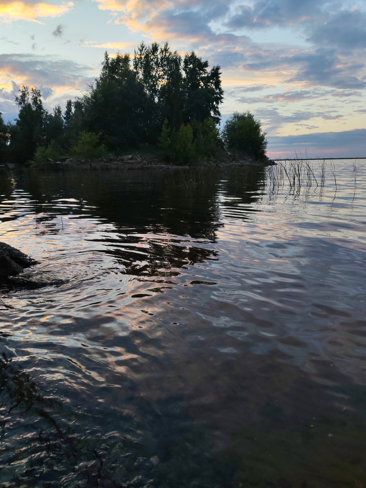 The image depicts a tranquil body of water, likely a reservoir or river, near an island covered in dense green trees. The sky above is a canvas of muted sunset colors, with soft pinks, oranges, and blues mingling with gray clouds. The water's surface is gently rippled, reflecting the sky's hues and the dark silhouettes of the trees. Reeds and tall grasses emerge from the water near the island's edge. In the foreground, a dark, rocky bank is visible on the left side. The scene evokes a sense of peacefulness and natural beauty. This landscape is characteristic of the Votkinsk Reservoir, a prominent feature near the city of Chaikovsky, Russia, known for its scenic shores and abundant greenery.