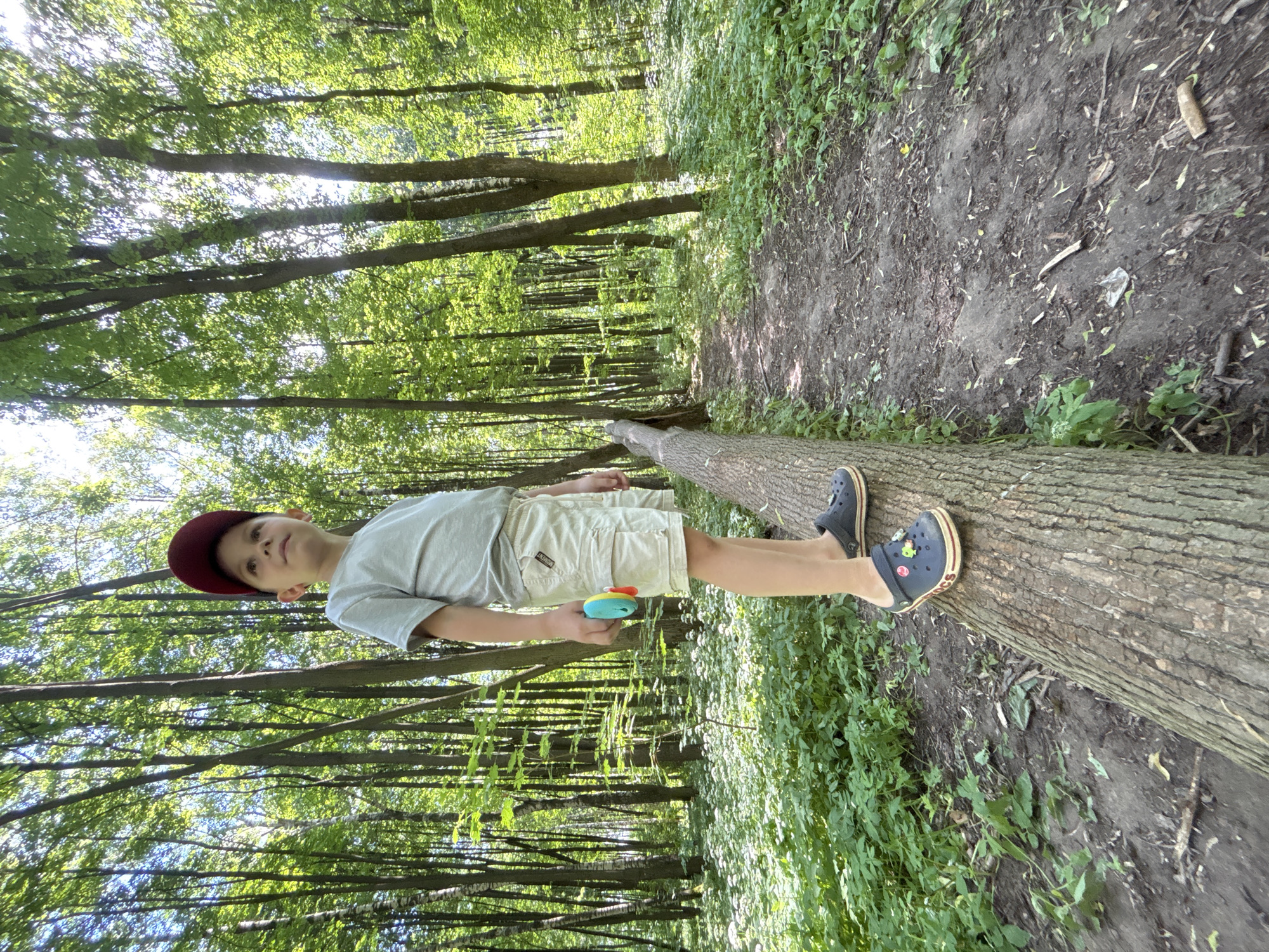The image shows a young boy standing on a fallen tree in a forest. He is wearing a grey t-shirt, light-colored shorts, a maroon baseball cap, and dark crocs with colorful charms. He is holding a small, multi-colored toy in his right hand. The forest is lush and green with tall trees and a dirt path visible in the background. The sun is shining through the trees, creating dappled light. The image appears to be taken in the Yaroslavl region of Russia, likely during the summer months.