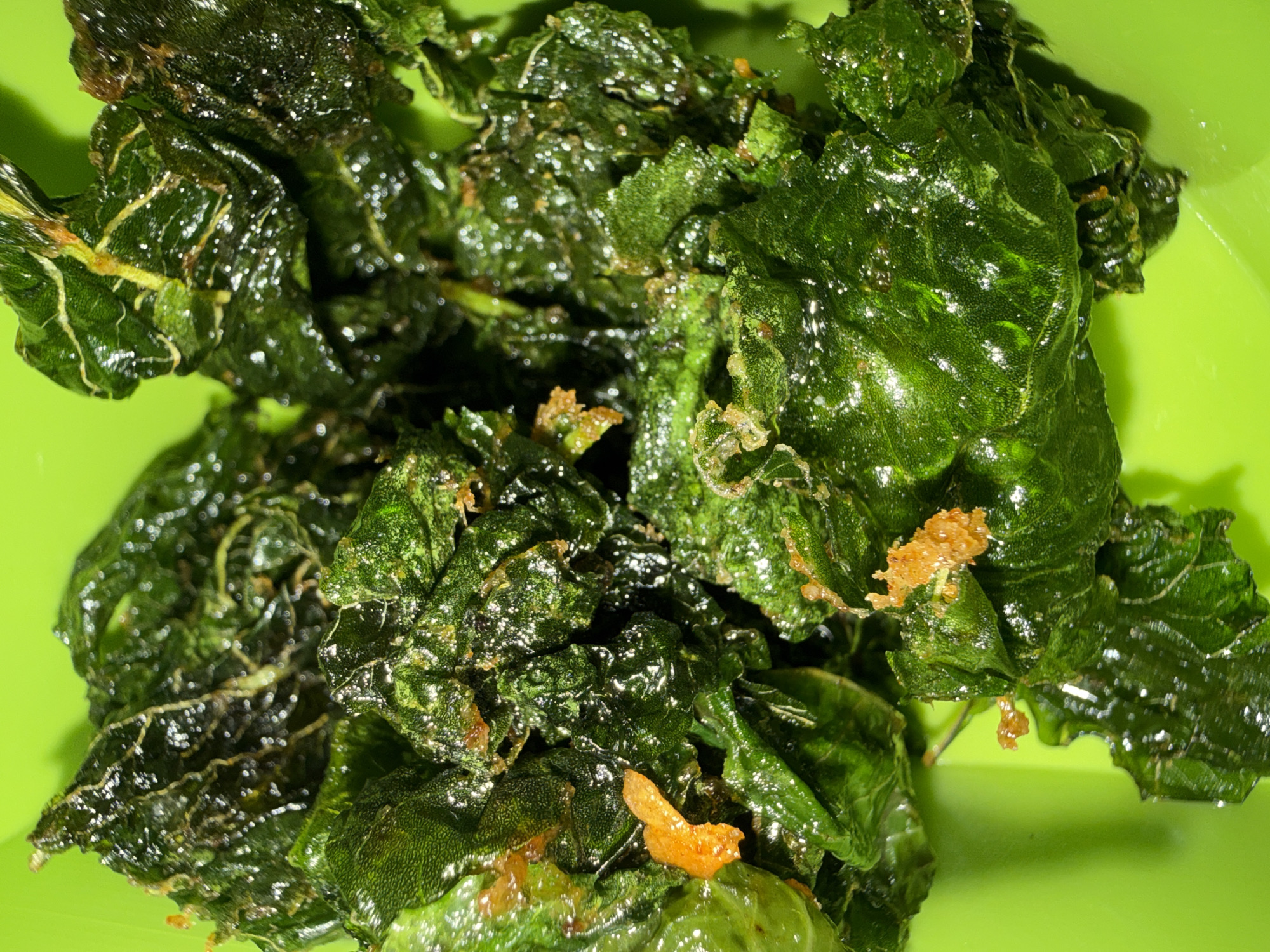 This is a close-up, overhead shot of crispy, fried green leaves, possibly kale or spinach, presented in a bright green bowl. The leaves are dark green with visible veins and a slightly oily sheen, indicating they have been cooked. Small pieces of orange, possibly fried garlic or chili flakes, are scattered among the leaves. The lighting is bright, highlighting the texture and sheen of the food. The background is the vibrant green of the bowl. There are no people, actions, or interactions depicted. The location in Lhokseumawe, Indonesia is not visually represented in the image.