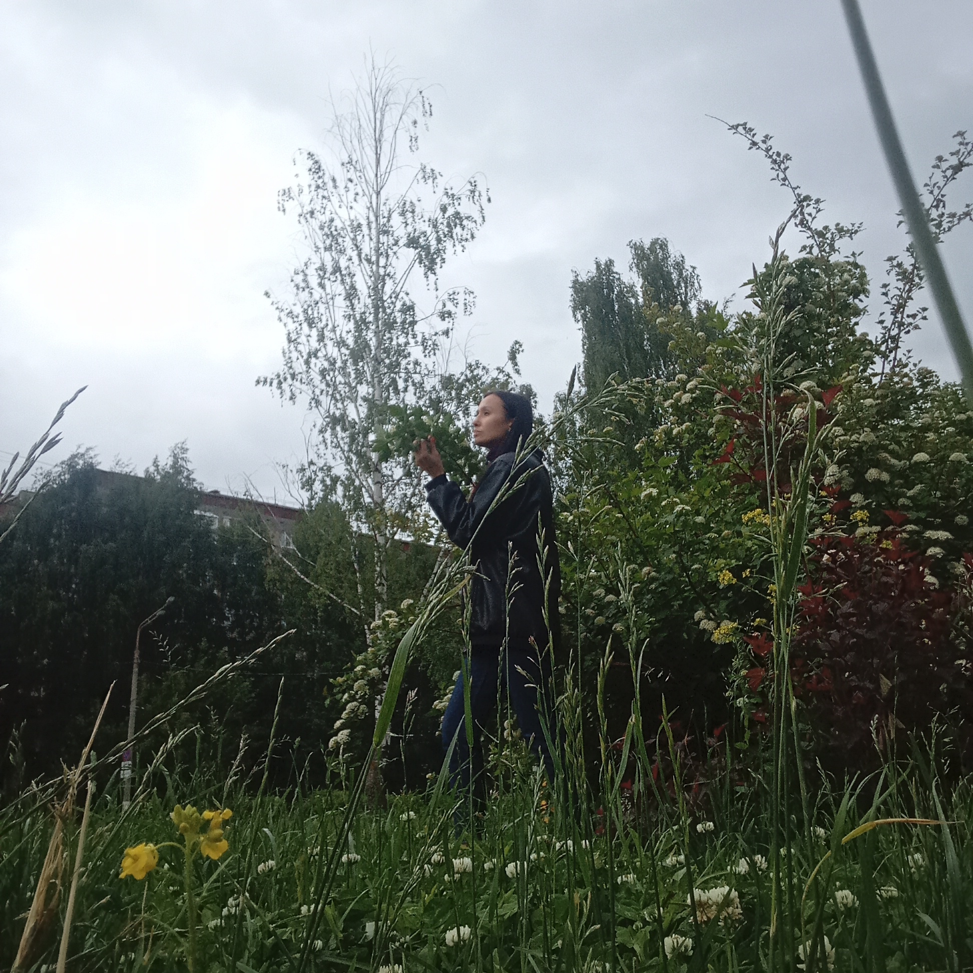 A low-angle outdoor photograph captures a woman standing amidst dense vegetation against an overcast sky in a green, urban area of Izhevsk, Russia. The sky is uniformly light grey and cloudy. In the midground, a woman with dark hair, wearing a dark jacket and dark trousers, stands in profile facing left. Her head is slightly tilted back as she looks upward, her hands raised, appearing to interact with or examine the leaves of a light-barked tree (possibly a birch) or an adjacent bush.
The scene is rich with diverse flora. The foreground is filled with tall, green grass, some blades featuring prominent seed heads. Yellow wildflowers are visible in the lower-left, and scattered white clover blossoms appear across the lower half of the frame. Behind the woman, a dense collection of green deciduous trees and bushes creates a vibrant backdrop. To the right of the woman, a bushy plant with small white flowers is prominent, and further right, a bush with reddish-brown foliage adds a contrasting color. In the far background on the left, a light-colored building with a visible reddish roofline is partially obscured by dark green trees, hinting at an urban setting. A lamppost is barely discernible behind the grass on the left, and a dark, vertical pole is visible on the far right edge of the image. The lighting is soft and diffused, characteristic of an overcast day.