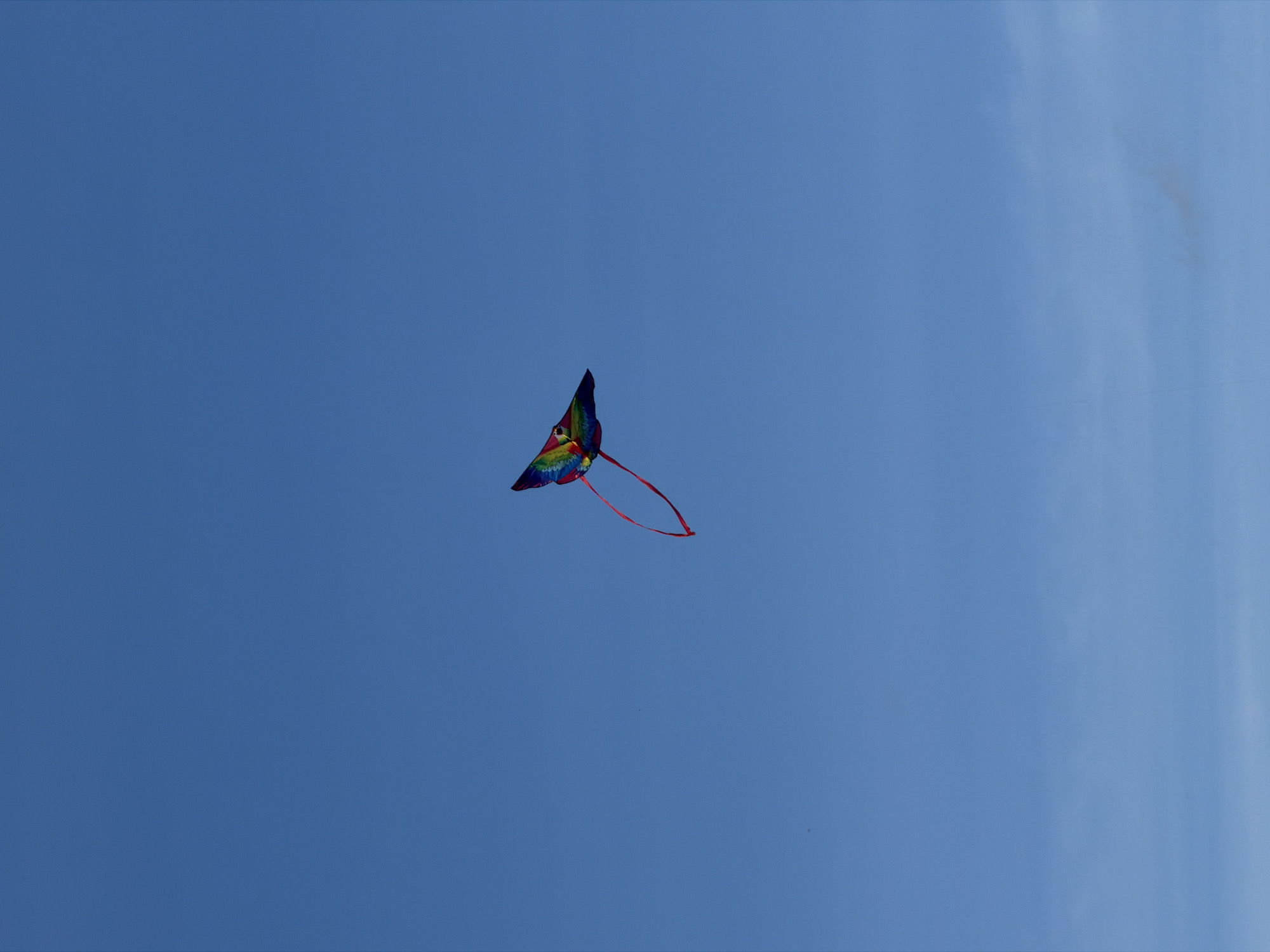 A kite is flying in a clear blue sky. The kite has a colorful pattern with red streamers. There are no other objects or people visible in the scene. The location is Chaikovsky, Russia.