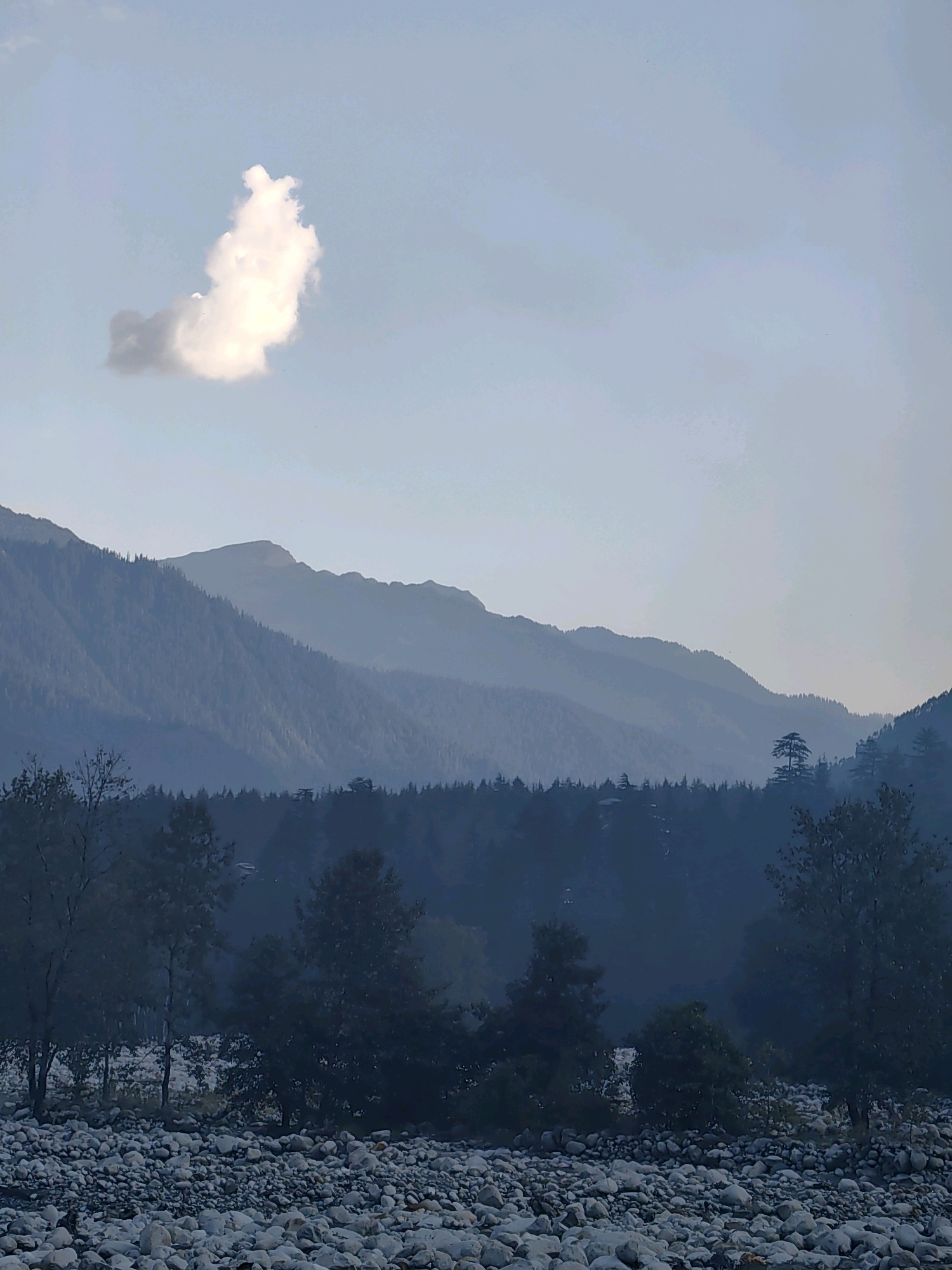 A wide shot depicts a mountainous landscape under a hazy, pale blue sky. A single, fluffy white cloud is prominently featured in the upper left quadrant. The middle ground is filled with layers of misty, blue-hued mountains covered in dense evergreen trees. The foreground is a rocky riverbed, with numerous grey and white stones of various sizes. Several trees, some with bare branches and others with dark foliage, are scattered along the edge of the riverbed and in the mid-ground. The overall scene conveys a sense of natural tranquility and remoteness, characteristic of the mountainous regions near Vashisht, India.