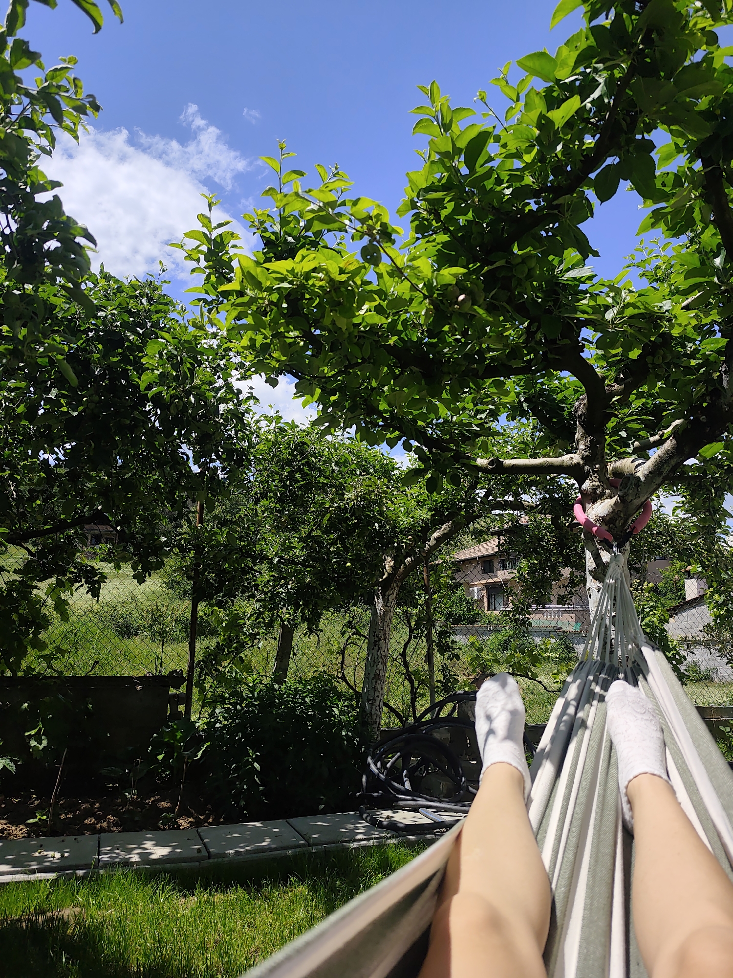 A person is relaxing in a hammock outdoors in Unknown, Unknown. The person is lying down, wearing white socks, with their legs extended into the frame of the photograph. The hammock is striped, appearing green and white. The surrounding environment is lush with greenery, featuring trees with dense foliage against a backdrop of a partly cloudy blue sky. There are plants, grass, and a fence in the background, partially obscuring a residential structure. A black hose is coiled near the ground. The scene suggests a peaceful and private setting.