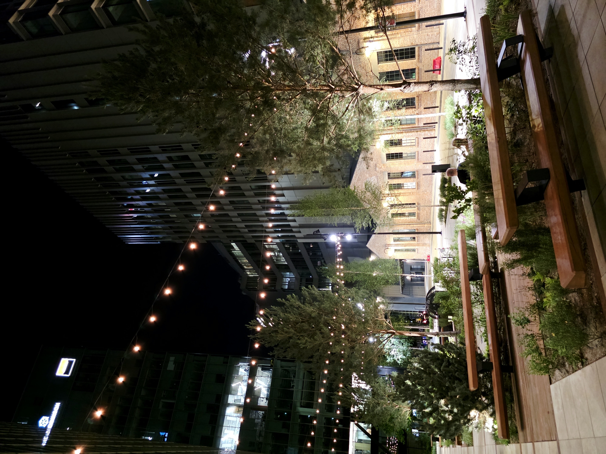 The image depicts a nighttime scene in a modern urban area, likely a plaza or courtyard. In the background, two large, contemporary buildings stand tall, one with a dark facade and illuminated windows, and the other a ribbed structure with multiple floors of windows. Between these buildings, a lower, older brick building with arched windows is visible.
The foreground features a landscaped area with wooden benches, planters filled with green foliage, and trees. Strings of warm-toned string lights are draped overhead, illuminating the space. The overall atmosphere is calm and inviting, suggesting a public gathering or relaxation spot.
The scene is located in the city of Warsaw, Poland, within the vicinity of the Varso Tower complex. This complex is a modern development that includes skyscrapers and renovated historic buildings, fitting the architectural styles shown in the image.