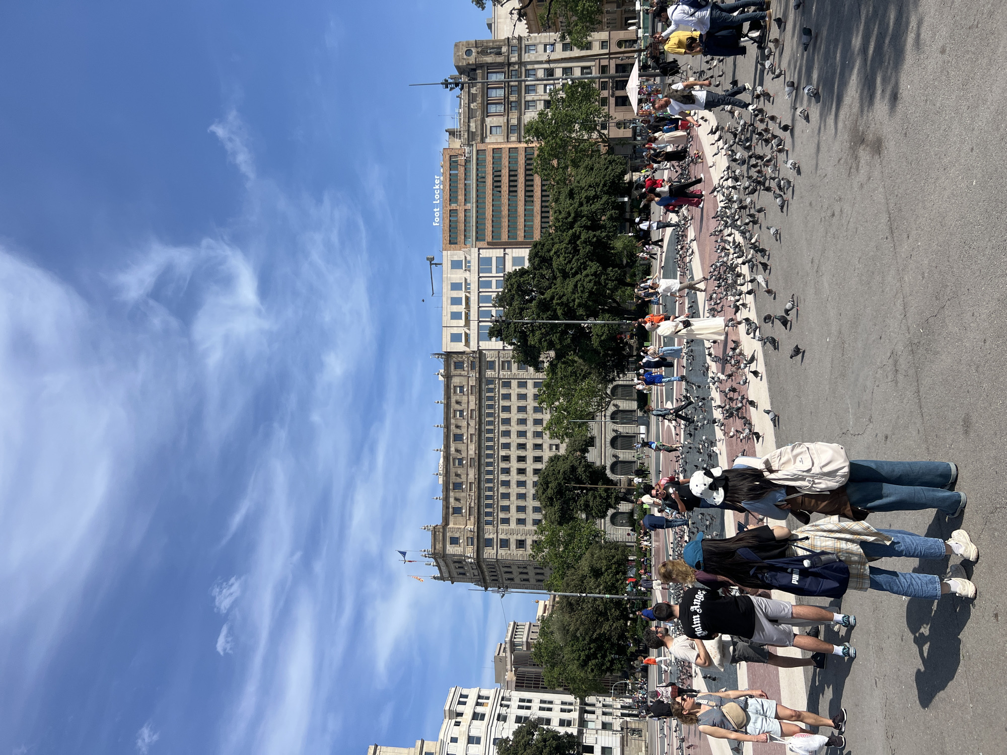 This image captures a lively scene in what appears to be Plaça de Catalunya, a central square in Barcelona, Spain. The perspective is from ground level. People are walking around, some are standing and interacting with the large population of pigeons scattered across the plaza. Architectural details include several multi-story buildings with varying facades and a "Foot Locker" sign on one of the buildings. The sky is visible in the background, exhibiting a blue hue with wispy cloud formations. Trees are interspersed with the buildings adding greenery to the urban environment.
