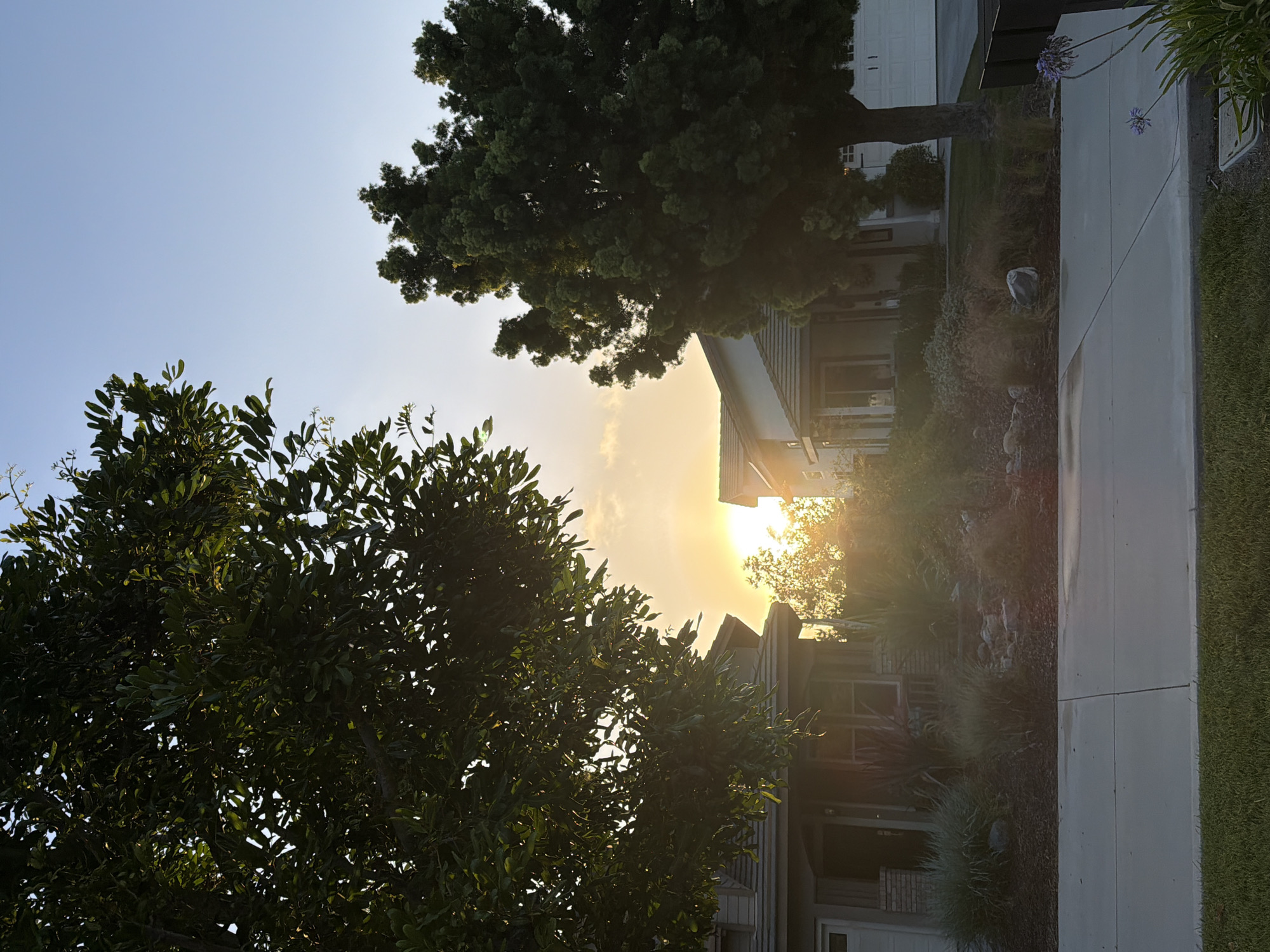 This photograph captures a residential street in Aliso Viejo, California, during a sunset. The scene is dominated by two houses, one on the left and another on the right, with lush green trees framing the view. The sun, low on the horizon, casts a warm, golden glow through the branches, creating a lens flare effect in the center of the image. The houses appear to be two-story structures with well-maintained front yards featuring a mix of ornamental grasses, rocks, and small shrubs. A concrete sidewalk runs across the foreground, separating the street from the lawns and landscaping. The sky is clear blue, transitioning to a soft orange and yellow hue near the sun. The overall impression is one of a peaceful evening in a suburban environment.