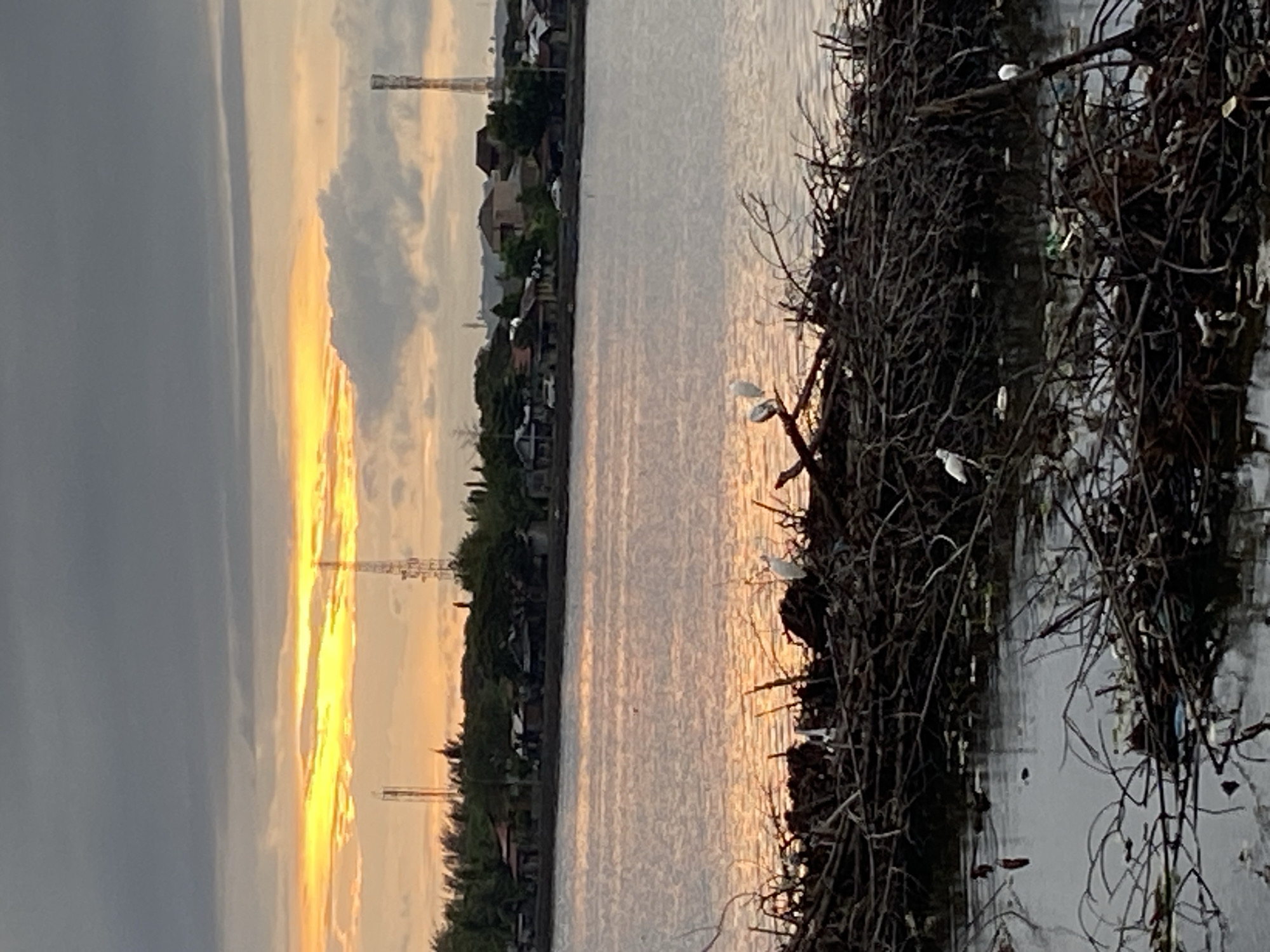 This media file captures a sunset or sunrise over a body of water, likely a river or coastal area, set in Lhokseumawe, Indonesia.
The scene is dominated by a dramatic sky featuring a broad band of golden-yellow light stretching across the horizon, indicative of either dawn or dusk. Darker, more muted clouds occupy the upper sky, creating a contrast with the vibrant glow. Below the sky, a calm expanse of water reflects the golden light, shimmering with warm tones.
On the far bank of the water, a distant landmass is visible, dotted with indistinct buildings and lush green trees, suggesting a populated area or village. Several tall, industrial-looking towers, possibly communication masts, pierce the horizon from this distant shore.
In the foreground, on the right side of the image, there is a dense, tangled mass of dark, bare branches and what appears to be accumulated debris, including some visible trash. Scattered within these branches and wading in the shallow water nearby are several small, white birds, likely egrets, adding a touch of wildlife to the scene. At least five egrets are clearly visible, perched on the branches or standing in the water.
The overall impression is one of natural beauty intertwined with signs of human presence and potential environmental impact. No visible text is present in the image.
