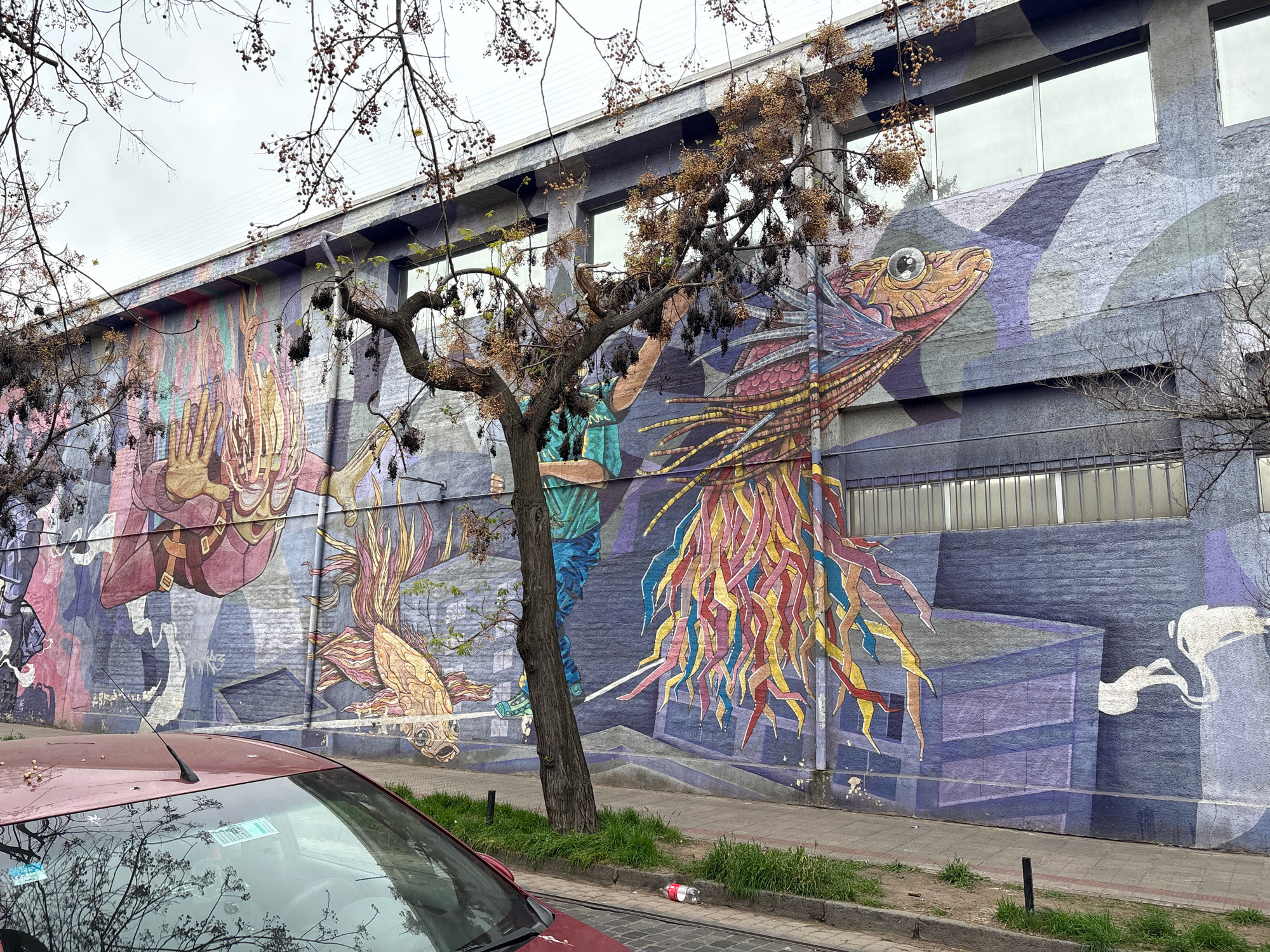 The image captures a colorful mural painted on the side of a building in Santiago, Chile. The mural features abstract figures and stylized animals, predominantly in shades of blue, purple, pink, yellow, and red. A prominent element of the mural is a large, reptilian or fish-like creature with flowing, multi-colored fins and a distinctive large eye. To the left, there's a depiction of a human-like figure with large hands. The building itself appears to be a multi-story structure with large windows, some of which have horizontal metal blinds. A bare tree with sparse branches partially obscures the mural and the building. In the foreground, the hood and windshield of a red car are visible. The car is parked on a street next to a sidewalk with patches of grass and a single red plastic bottle on the ground. The sky is overcast and gray. The scene is located on a street in Santiago, Chile.
