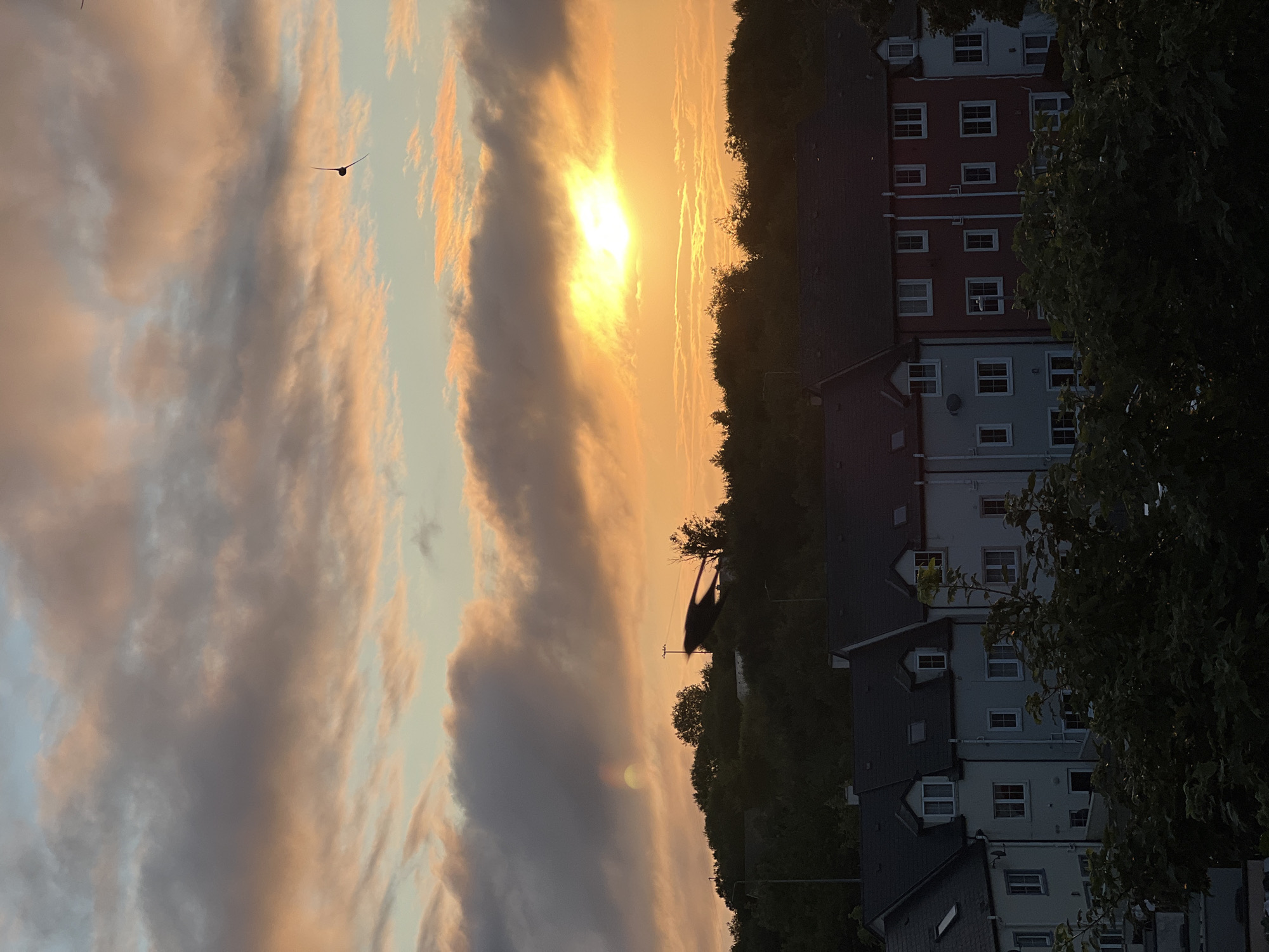 This image depicts a suburban skyline in Mountcharles, Ireland, during a sunset. The foreground is dominated by the roofs of a row of attached houses, with a dense line of trees obscuring the lower portions of the buildings. The houses appear to be modern, with multiple stories and visible windows.
Above the treeline, a hill covered in trees forms the middle ground. Silhouetted against the sky are structures that suggest human habitation, possibly apartment buildings or industrial elements. Two notable objects are visible in the sky: a small, dark, kite-like object is suspended in the upper right portion of the frame, and a larger, dark, silhouetted shape resembling a bird in flight is positioned over the trees on the left side of the image.
The sky is a dramatic canvas of sunset colors, with the sun a bright, intense yellow-orange orb partially obscured by clouds. These clouds are a mix of deep grays and vibrant oranges, indicating the progression of the sun below the horizon. The lighting conditions suggest late evening. The overall impression is one of a peaceful, albeit somewhat overcast, sunset over a residential area.