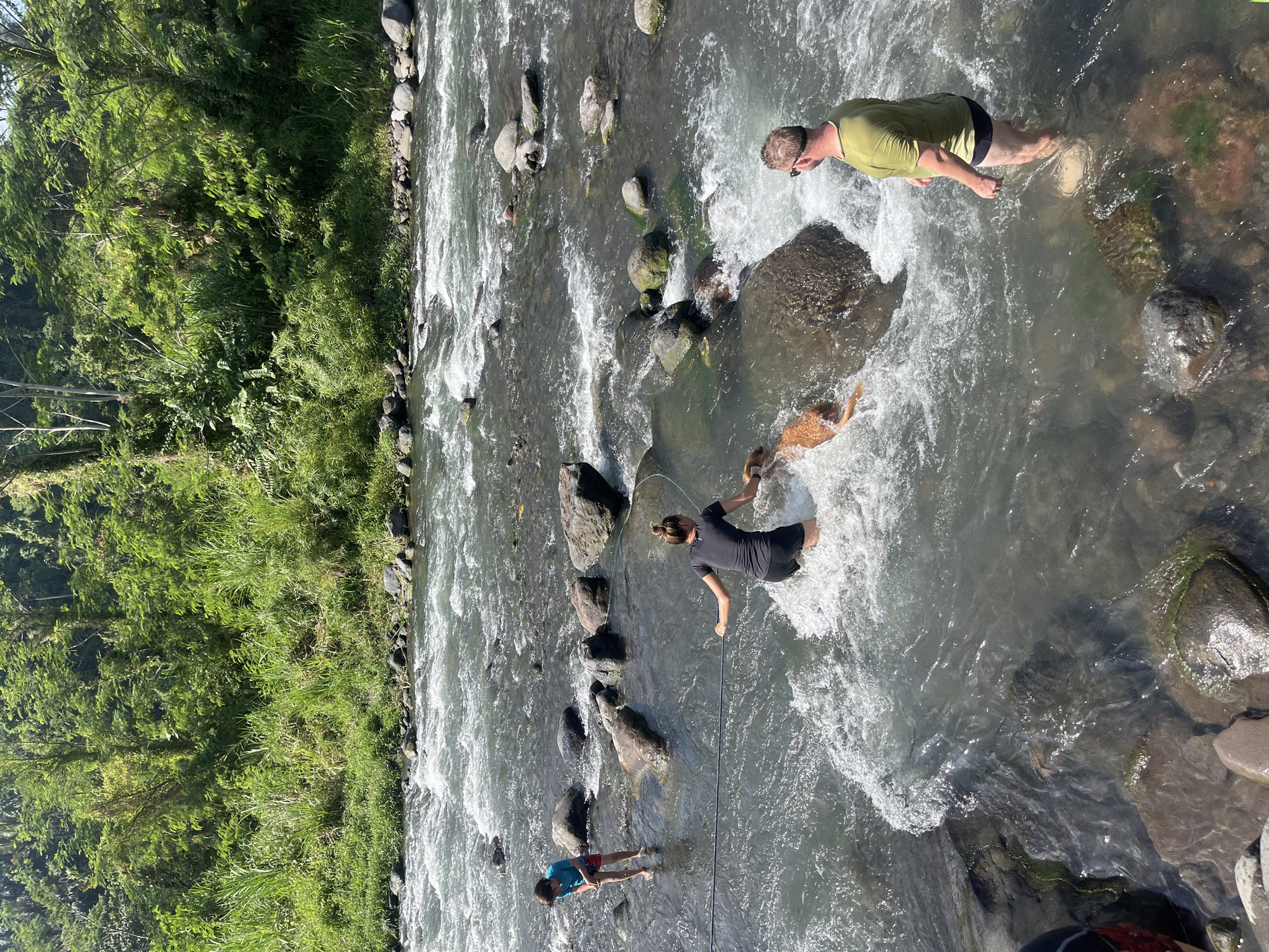 In Klungkung, Indonesia, four individuals, including two adults and two children, are seen wading through a shallow, rocky river on a sunny day. The water is clear and fast-moving, with ripples and waves cascading over submerged rocks. Lush green vegetation covers the riverbanks and extends up into the background. One child, wearing a blue t-shirt and red shorts, stands near the left bank, while another child, partially obscured, is visible in the lower left. An adult woman in a black t-shirt and shorts is in the center of the river, holding a rope that leads to a brown dog playing in the water. A second adult man, wearing a green t-shirt and black shorts, stands on the right side of the river, facing the group. The scene appears to be a recreational outing in a natural river setting.