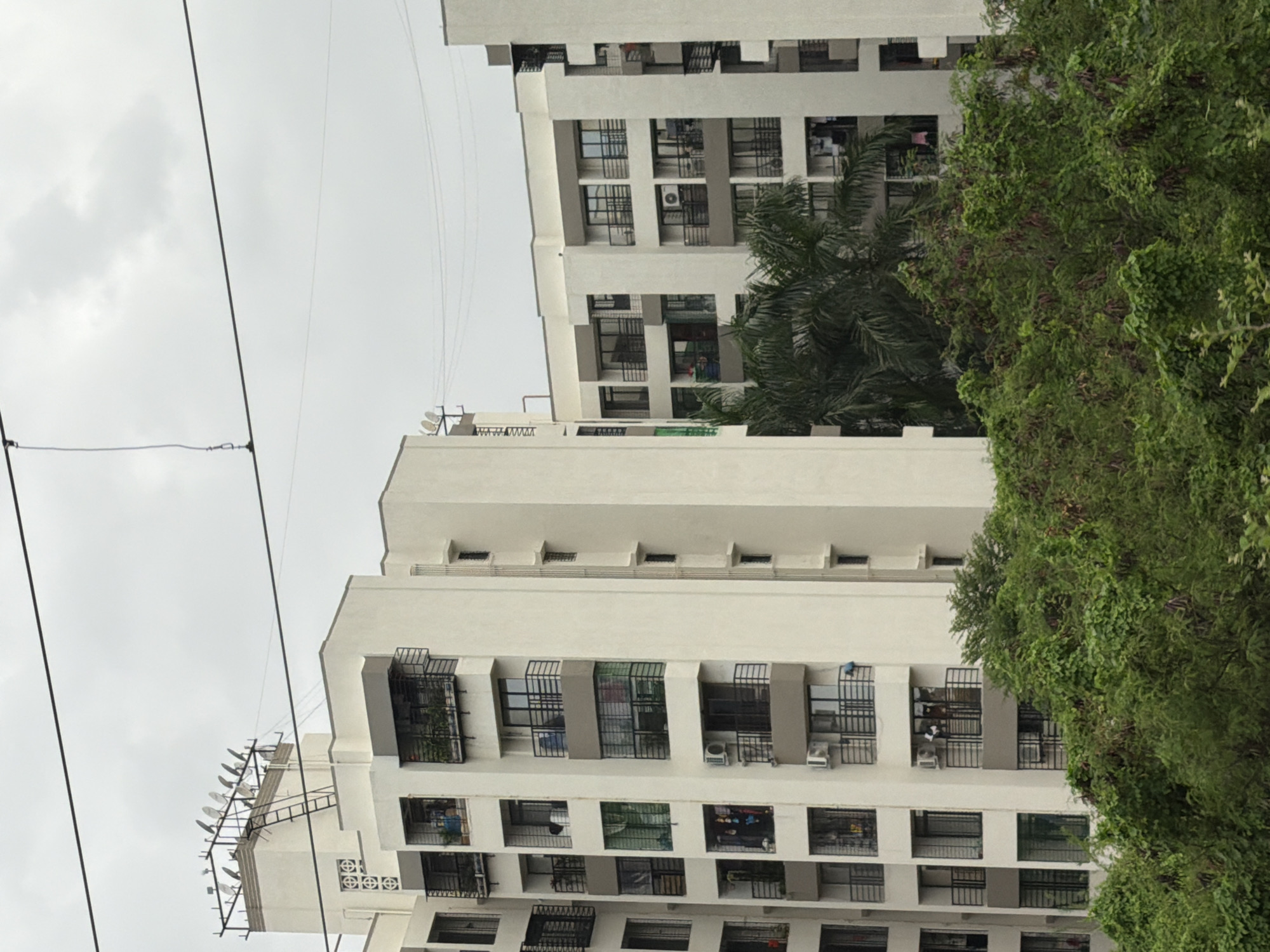 The image captures an overcast sky above a cluster of modern, multi-story residential buildings in Vasai-Virar, India. The buildings, primarily white and grey, feature numerous balconies with black railings and large windows. Some balconies display potted plants and laundry hanging to dry. Air conditioning units are visible on some exterior walls. A dense canopy of green trees and foliage fills the foreground, partially obscuring the lower levels of the buildings. In the background, a network of power lines crisscrosses the sky. One building's rooftop is equipped with numerous satellite dishes mounted on a metal frame, suggesting a significant number of residents utilizing satellite television services. The overall scene depicts a typical urban residential environment in a densely populated area.