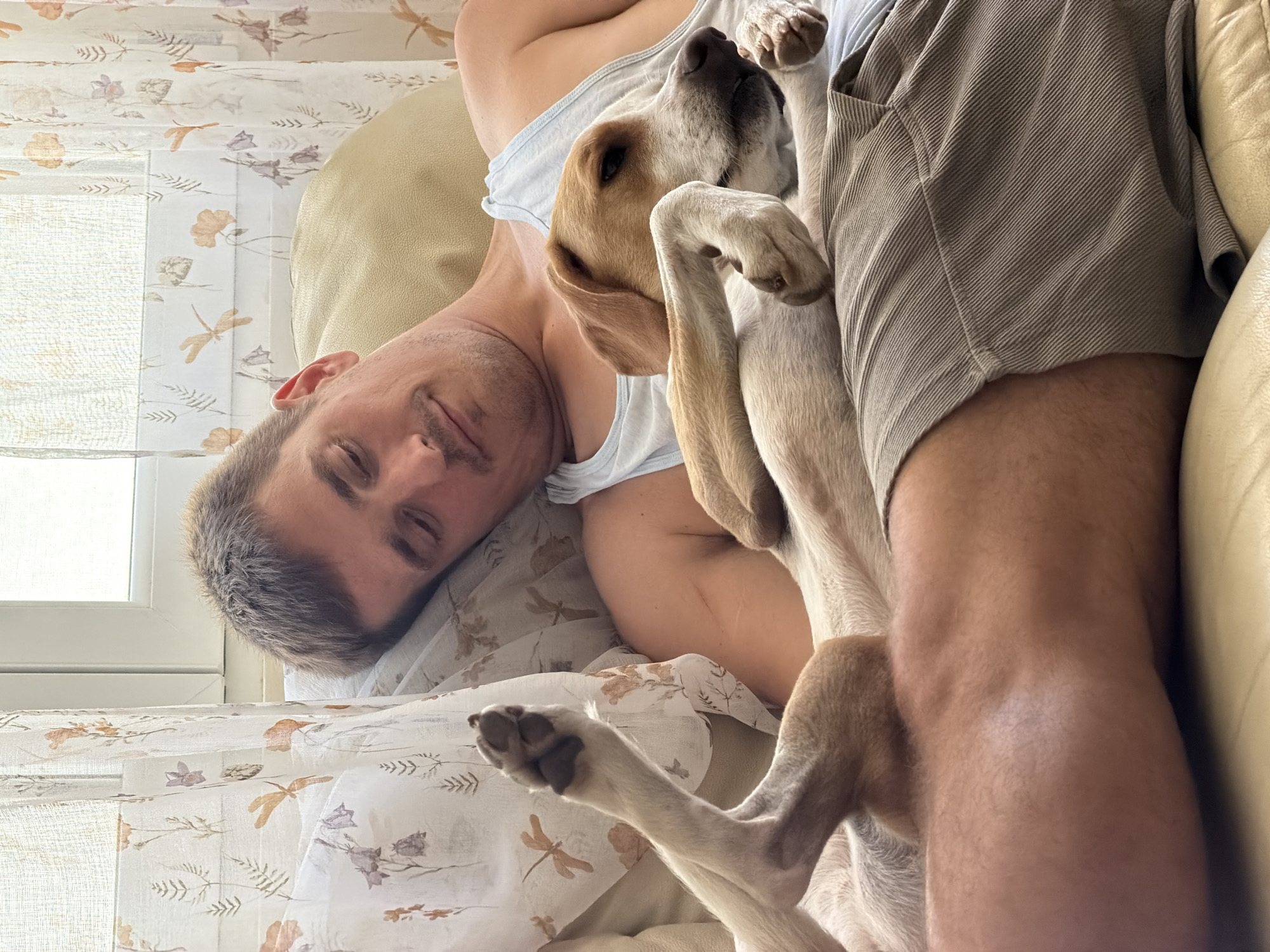 The image displays an indoor scene in Budva, Montenegro, featuring an adult male and a dog resting on a light-colored couch. The Caucasian male, with short brown hair and light stubble, is reclining on his back, his head resting on a pillow, with his eyes closed or downcast. He is dressed in a light blue sleeveless tank top and grey vertically-striped shorts.
A medium-sized tan and white dog is positioned on top of the man, its head resting near his upper torso, and its front paws tucked in on the man's lap/thigh. The dog also appears to be resting. One of the dog's rear paws, showing its dark pads, is clearly visible extended upwards.
In the background, a window with a white frame allows diffuse natural light into the room. Sheer white curtains with a botanical pattern of muted orange, purple, and green flowers, leaves, and dragonflies are partially drawn across the window. The couch appears to be made of light beige or tan leather/faux leather.