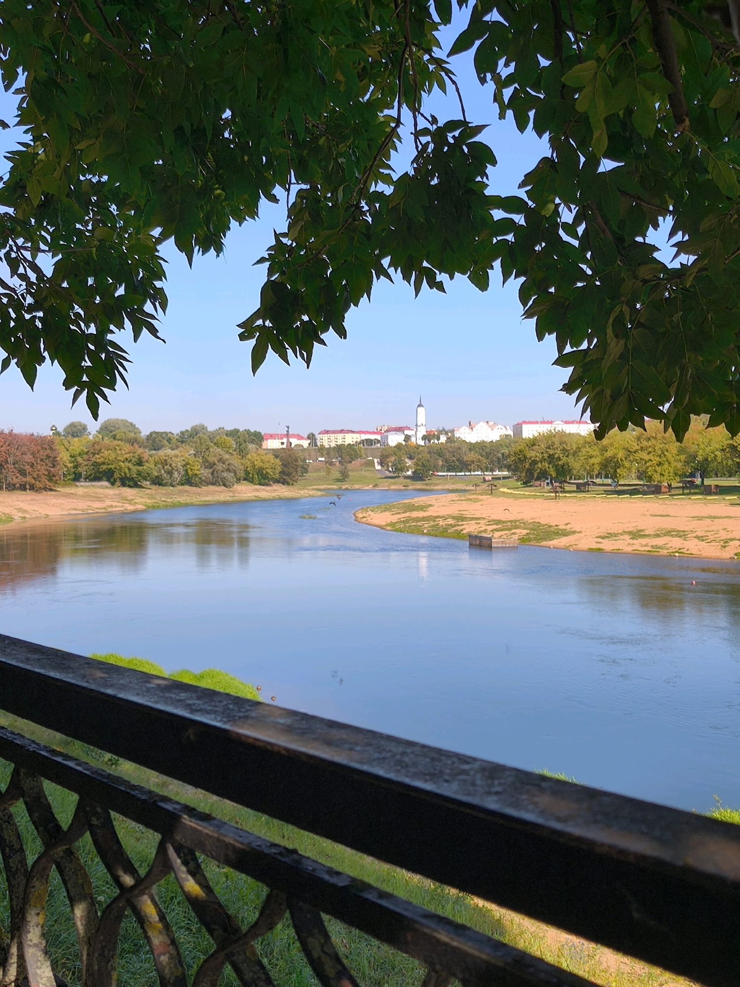 This is a vertical, eye-level, medium shot of a river flowing through a city park in Mahilyow, Belarus. The foreground features a dark, ornate metal railing with green grass visible beneath it. The middle ground is dominated by a wide, calm blue river. The far bank of the river is lined with trees, some in shades of green and others with autumn colors. Beyond the trees, several white and red buildings, including a white church with a tall spire, are visible, suggesting the presence of a city center. The sky is a clear, bright blue. The overall scene is tranquil and picturesque, indicative of a pleasant day in a park setting within a European city.