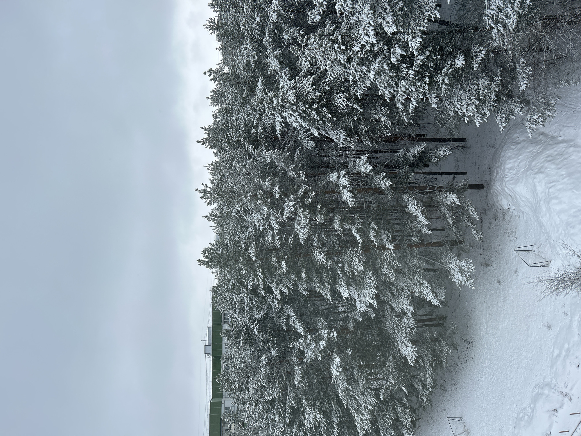 An elevated winter view in Chaikovsky, Russia, shows snow-covered trees adjacent to an apartment building with green accents. A snow-covered field contains metal soccer goals. Overcast sky.