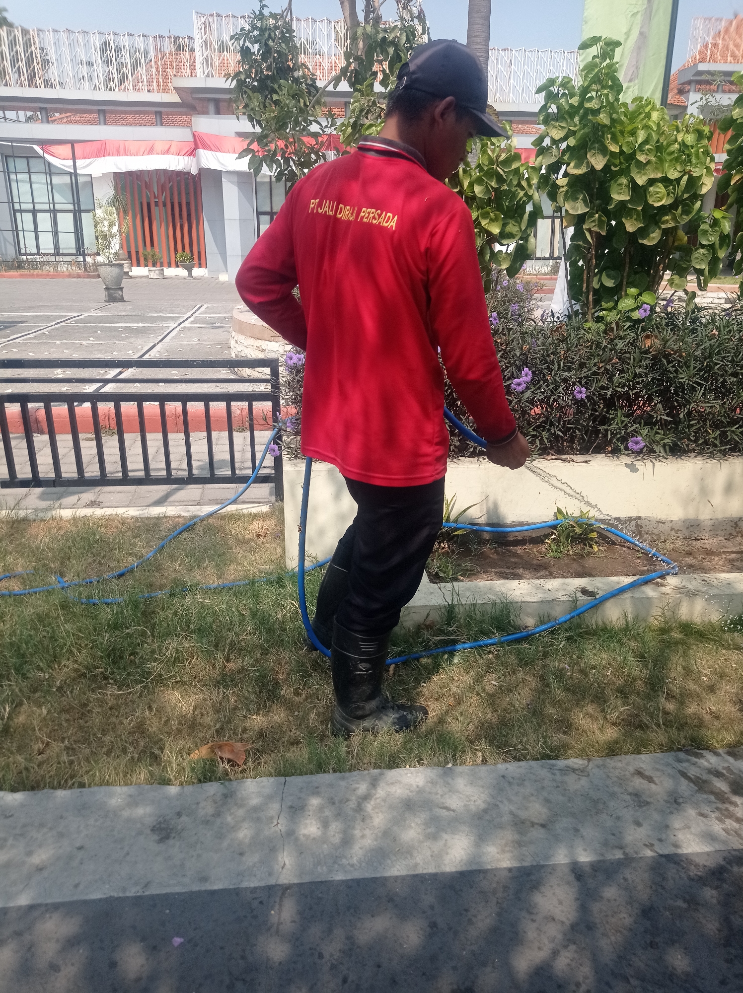 A person wearing a red long-sleeved shirt with yellow text that reads "PT JALI DIRGA PERSADA", dark pants, and black boots is watering plants with a blue hose. The person is standing in a grassy area with some dry patches. In the background, there is a building with white and red awnings, a black fence, and lush green bushes with purple flowers. The ground in front of the bushes is concrete. The scene appears to be in an outdoor environment in Bangunsari, Indonesia, likely a garden or public space. The lighting suggests it is daytime.