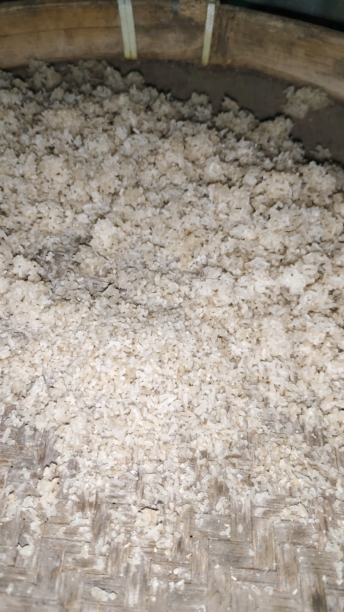 The image shows a close-up, overhead view of uncooked rice grains scattered on a woven bamboo surface, likely a winnowing basket. The bamboo weave is visible beneath the rice, with a darker background suggesting a surface or container. The rice appears to be a light, off-white color, with individual grains clearly distinguishable. The texture is granular and uneven. The scene is devoid of any human presence or activity, and the environment is not indicative of any specific location within Galis, Indonesia, beyond the general context of food preparation.