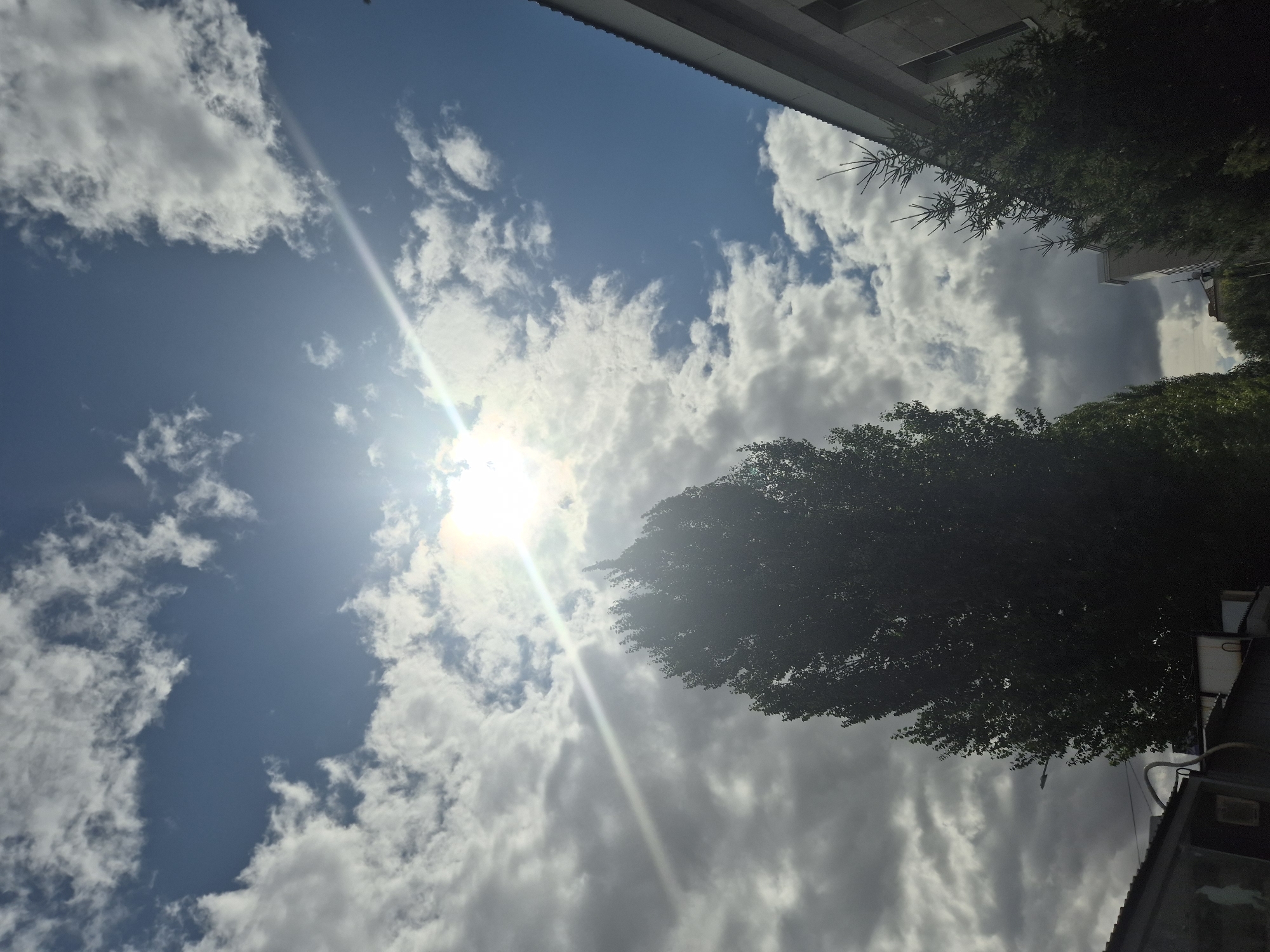 The image captures a view looking upwards towards a bright sun partially obscured by clouds. The sky is a vibrant blue with scattered white and grey clouds. A tall, dark-leaved tree dominates the left side of the frame, its silhouette stark against the sky. To the right, the corner of a light-colored building with a dark roofline is visible, along with a small evergreen tree. The lower portion of the image shows glimpses of other structures, possibly sheds or low-rise buildings, one with a visible metal pipe. The sun is emitting a strong glare, creating a light streak across the sky. The scene suggests an outdoor urban environment, potentially in Kokshetau, Kazakhstan, given the context. No people are visible in the image.