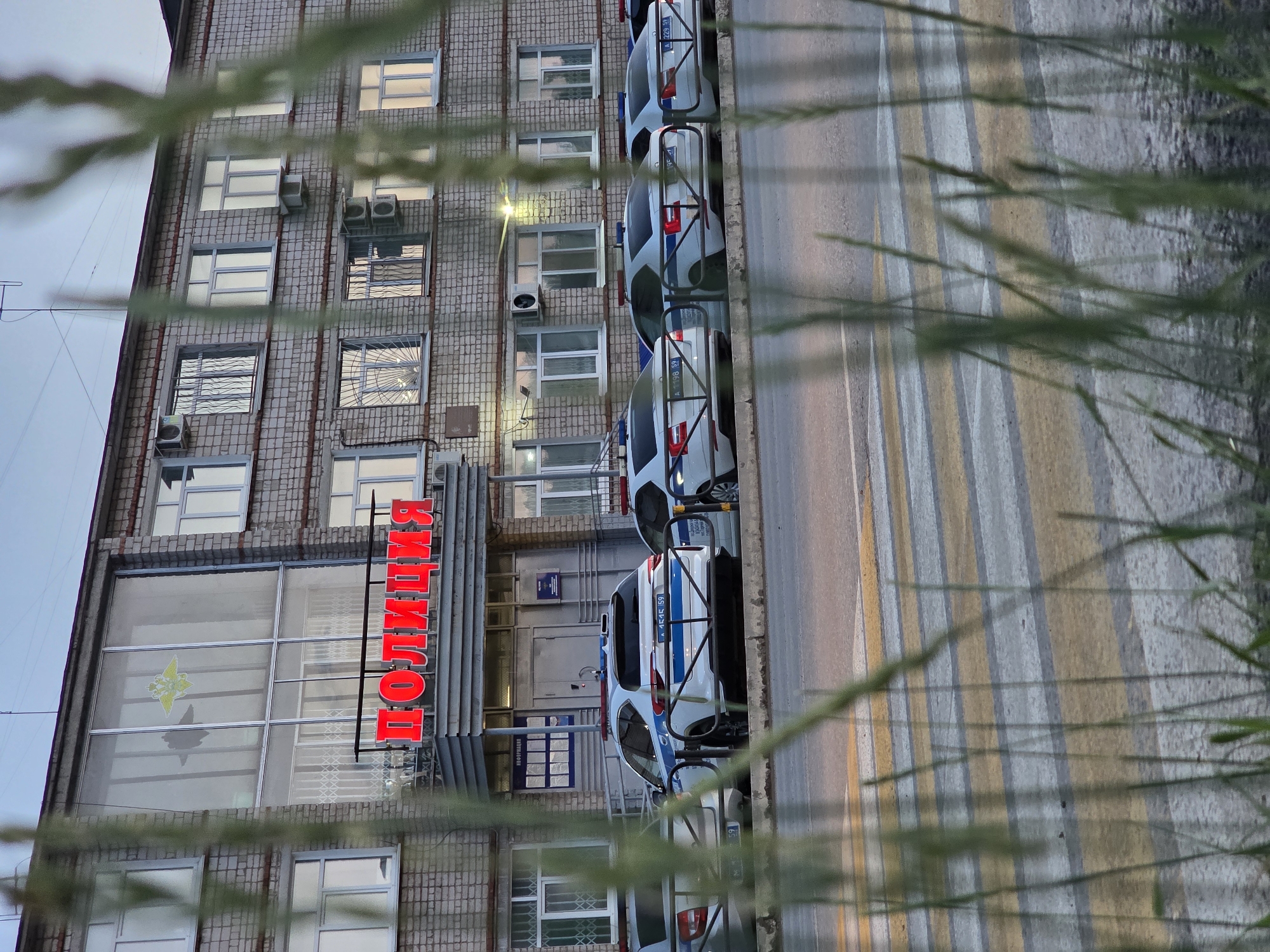 The image shows the Chaikovsky police department building in Chaikovsky, Russia. The building is made of brick and has several windows. Above the entrance, a red sign with the word "ПОЛИЦИЯ" (POLITSIYA), meaning "POLICE" in Russian, is illuminated. A police emblem is visible through a large window on the upper floor. Several police cars are parked in front of the building, with their emergency lights on. The foreground is blurred by tall grass. A pedestrian crossing is visible on the road in front of the police cars. The sky is overcast.