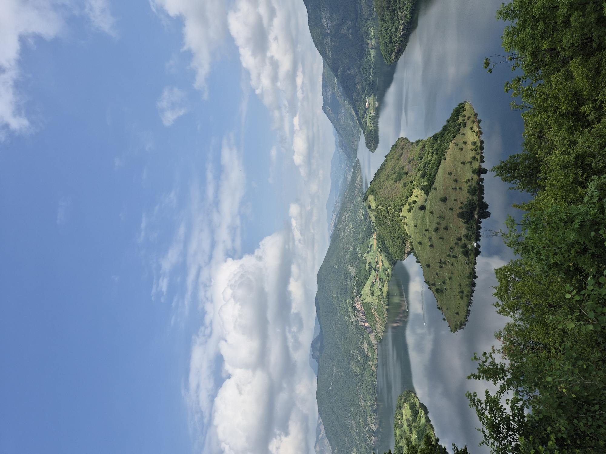 The image displays a panoramic landscape view of a winding river or reservoir cutting through a mountainous region, under a bright, partly cloudy sky. The perspective is from an elevated vantage point, looking down into the valley.
In the foreground, dense green foliage, including trees and bushes, frames the right side of the scene. The main body of water, a calm, deep blue-grey, reflects the clear blue sky and scattered white cumulus clouds. Numerous verdant landforms, appearing as islands or peninsulas, emerge from the water. A prominent, triangular-shaped hill covered in lush green grass and scattered trees is centrally located, extending into the water. Further down the watercourse, additional green, tree-covered hills line the shores and recede into the distance.
The banks of the river are steep and heavily forested with dense green trees, forming dramatic slopes that frame the water. In the far distance, on a hillside adjacent to the water, a small cluster of buildings with reddish roofs can be seen, suggesting a remote settlement. A faint, thin line, possibly a distant bridge or power lines, appears to span the water in the background. A small white boat with a wake is visible on the water in the mid-ground, indicating some activity.
The sky is a vibrant light blue, populated by soft, fluffy white clouds. The weather appears clear and sunny, indicative of daytime, likely late morning or early afternoon. The overall atmosphere is one of serene natural beauty. No discernible text is visible in the image. The landscape strongly suggests a mountainous river valley or reservoir setting, consistent with areas like Ribartsi, Bulgaria.