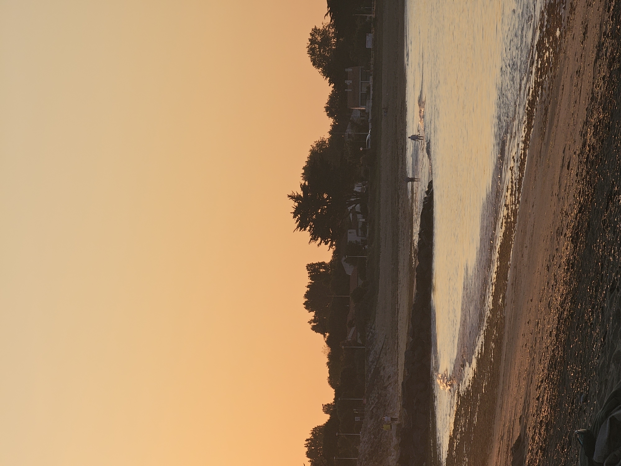 The image shows a beach at sunset in La Brée-les-Bains, France. The sky is a gradient of orange. A line of trees and buildings is visible along the shoreline. Two figures are wading in the water. The beach is sandy, with wavelets lapping at the shore.