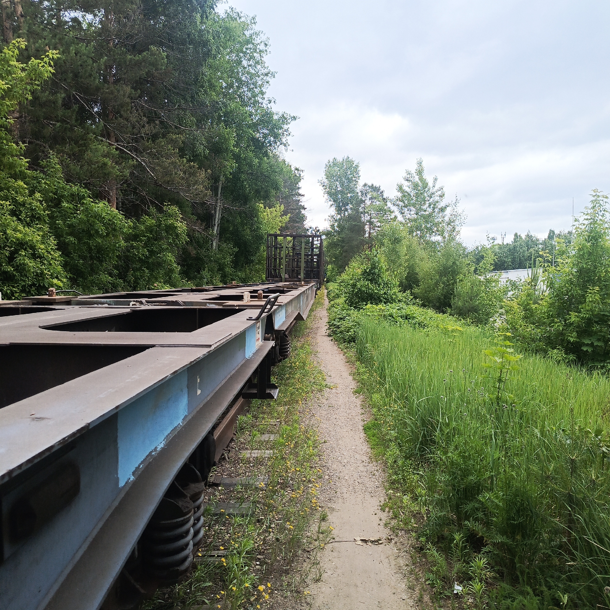 An outdoor, eye-level, medium shot captures a section of an empty, flatbed train car on a sunny, cloudy day. The train car is oriented at an angle, leading the eye into the background. The foreground is dominated by the metallic structure of the train car, with blue accents on its side. The train car is situated on railway tracks, with a narrow dirt path running parallel to it. Lush green vegetation, including tall grass and trees, lines the path and surrounds the train tracks, creating a natural, somewhat overgrown environment. In the distance, the trees continue, with a few taller structures visible beyond them, suggesting proximity to an industrial or urban area. The sky is overcast with scattered clouds. The scene appears to be located in a less-trafficked area, possibly a railway siding or industrial edge of the city of Chaikovsky, Russia. There are no people or animals visible in the image.