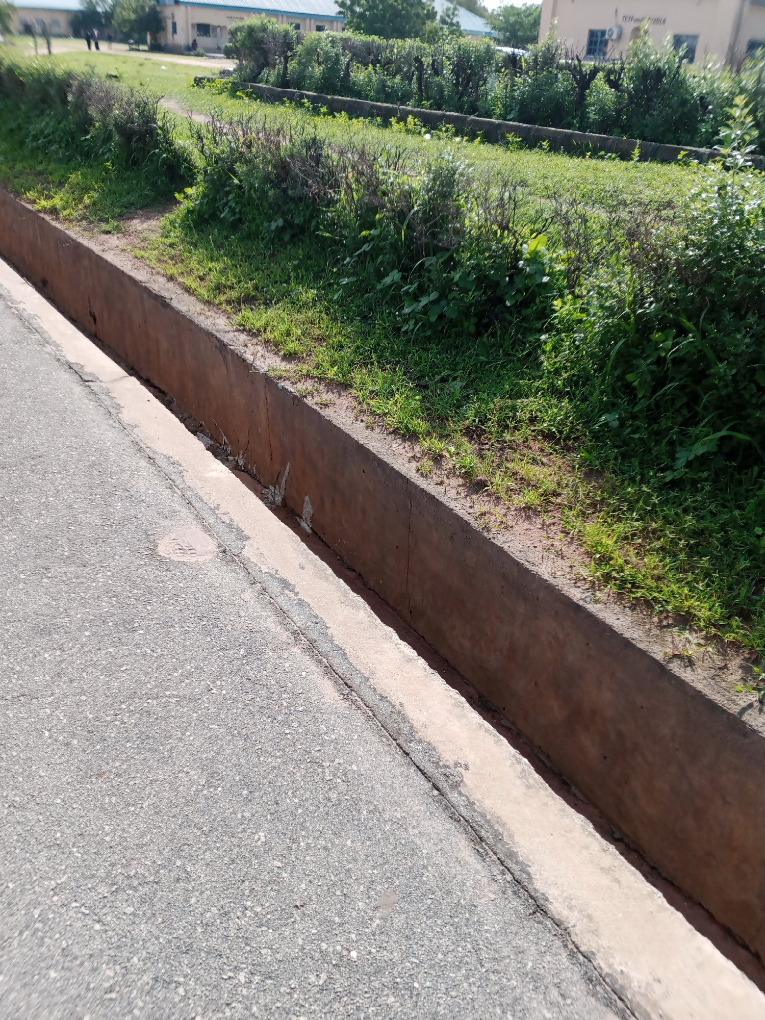 The image depicts a roadside drainage ditch alongside a paved road in Jalingo, Nigeria. The ditch is constructed of concrete with a rough texture and shows signs of wear and tear, including cracks and some debris. Lush green grass and vegetation grow along the edge of the ditch and in the area beyond, creating a contrast with the man-made structure. In the background, out-of-focus buildings and trees are visible, suggesting an urban or semi-urban environment. The lighting indicates it is daytime, with shadows cast by the sun. There are no people or vehicles prominently featured in the immediate vicinity of the ditch, though distant figures can be seen near the buildings in the background. The overall impression is one of an ordinary urban landscape.