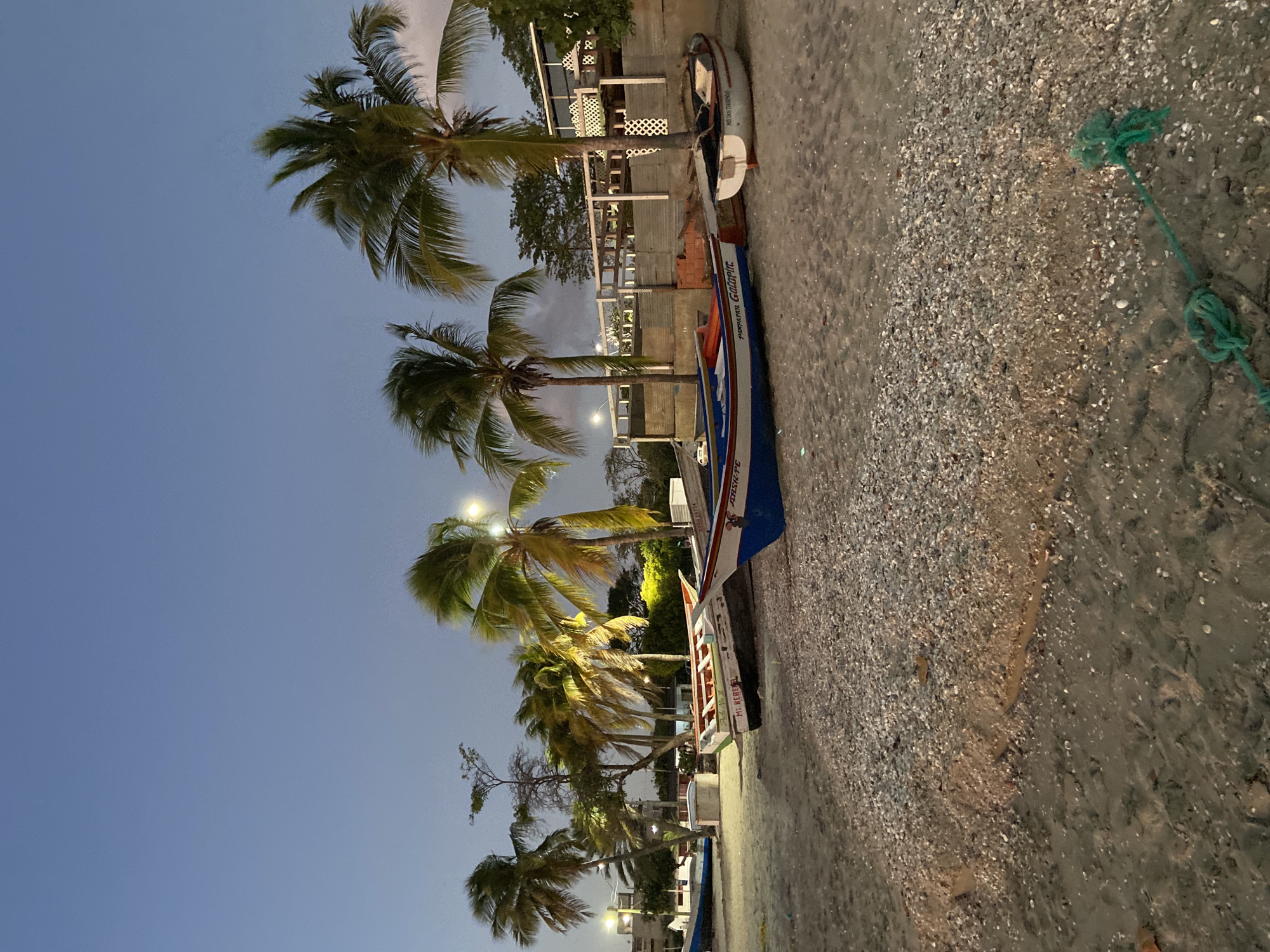 This image depicts a beach scene at twilight or dusk on the shoreline in Juan Griego, Venezuela. The sky is a deep blue-grey, indicating a transition from day to night. Numerous tall palm trees with green fronds are visible, several of which are illuminated by artificial light sources originating from streetlights or nearby structures.
The foreground consists of a sandy beach intermixed with a significant concentration of small white and grey shells and pebbles. A tangled green rope or netting lies on the sand in the lower right portion of the frame.
Five small fishing boats, commonly known as lanchas, are pulled ashore on the beach. From left to right: a partially visible blue and white boat; a white boat with red trim featuring the names "PAULA N° II" and "Mr. BEBERE"; a blue, white, and red boat with "PUMPATIAL" and "Gatorin" visible on its hull; another blue, white, and red boat that is partially obscured; and a small white boat displaying "EL DOS HERMANOS" on its side, positioned furthest to the right.
In the mid-ground and background, beyond the palm trees, various structures are present. These include what appears to be a multi-level building or platform with distinctive white lattice railings, illuminated by warm artificial light. Additional structures and trees are visible in the distance. No individuals are present in the depicted scene.