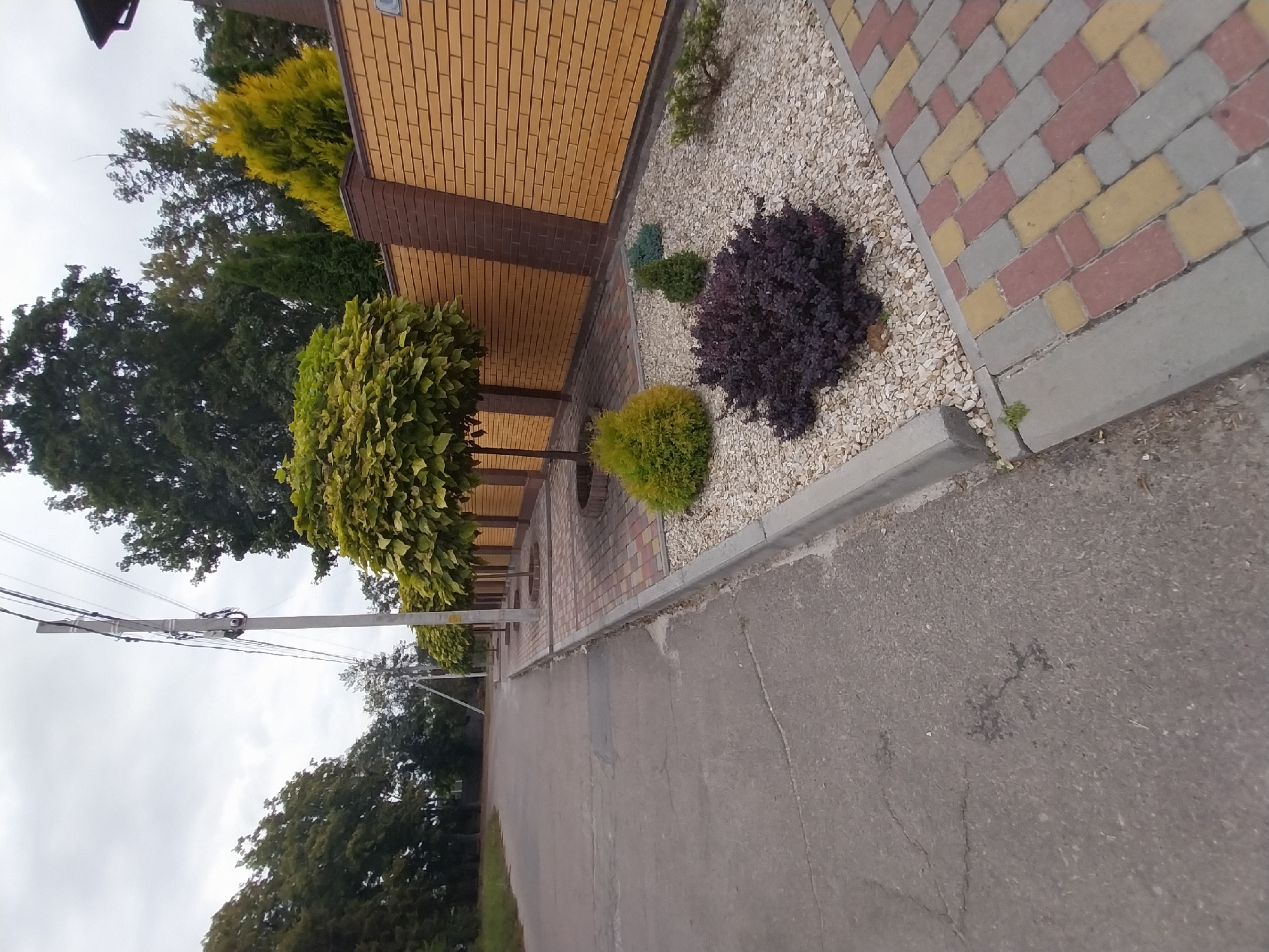 The image depicts a residential street scene in Doslidne, Ukraine, on an overcast day. A paved asphalt road runs diagonally from the bottom left to the top left of the frame, with a concrete sidewalk bordering its right side. The sidewalk is lined with a decorative border of multi-colored pavers in shades of red, yellow, and gray. Beyond the sidewalk, a landscaped area features a bed of light-colored gravel. Several bushes and small trees are planted in this gravel bed, including a dark purple bush in the foreground, a rounded light green bush to its left, and two smaller evergreen conical trees.
Further down the sidewalk, a row of ornamental trees with rounded, dense green foliage are planted at intervals. These trees stand in circular, mulched bases and are spaced evenly along the sidewalk, leading towards a tall, textured brick wall. The wall is constructed of yellow bricks with diagonal dark brown brick accents. Behind the wall, the tops of various trees and a hint of a roofline are visible. In the background, a prominent utility pole with multiple electrical wires stretches across the sky, with more trees and foliage visible on either side. The sky is uniformly gray and cloudy.