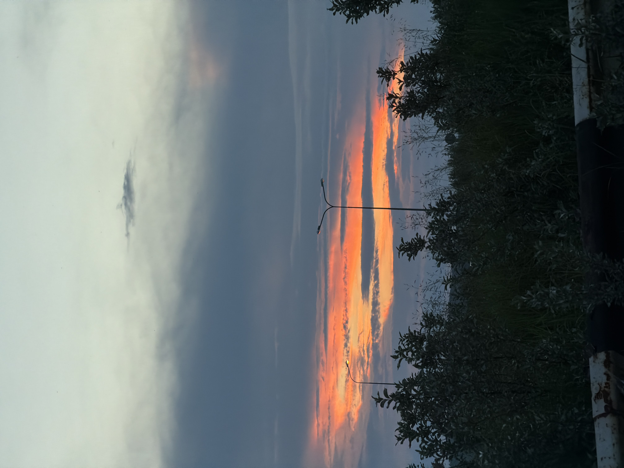 The image captures a twilight sky over a natural landscape on the outskirts of Chaikovsky, Russia. The sky displays a gradient of colors, from a pale blue at the top transitioning to darker, cloudy hues, with a vibrant band of orange and red clouds near the horizon, indicative of sunset. Two streetlights stand on poles, their lights illuminated. In the foreground, silhouetted foliage and tall grasses are visible, suggesting a rural or park-like setting. A rusty metal railing or barrier runs along the bottom of the frame. No people are present in the image.