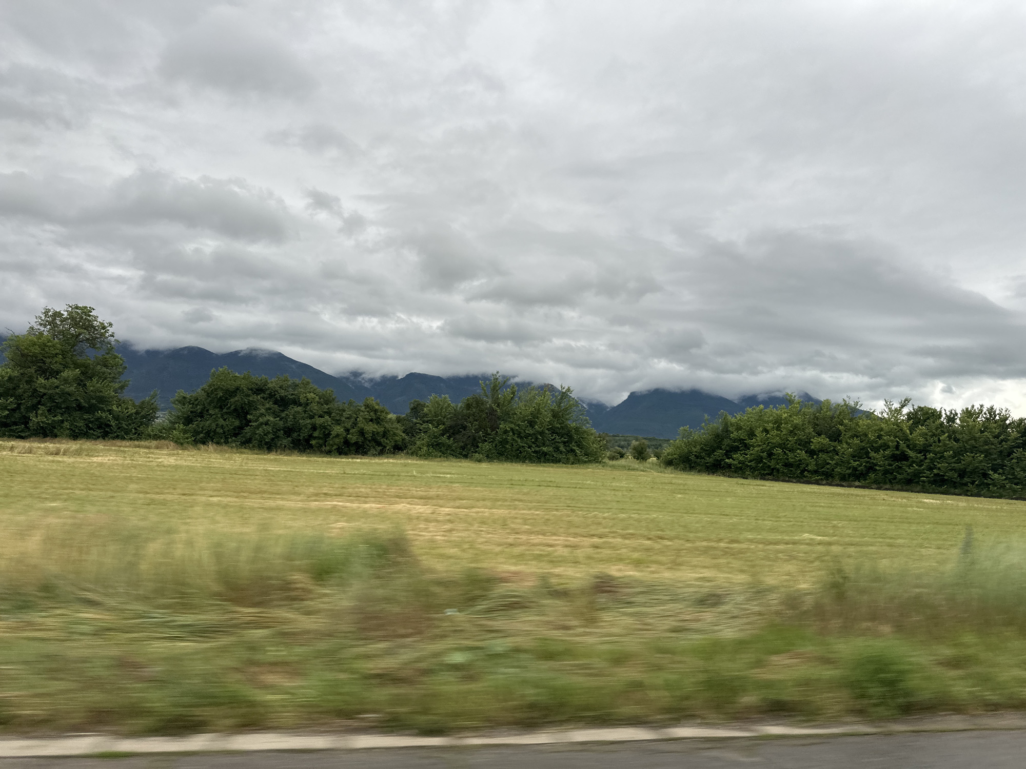A wide, horizontal, outdoor, medium-shot photograph captures a verdant landscape under a cloudy sky. In the foreground, a blurred field of green and golden grass stretches across the frame, indicating movement. Beyond this, a line of dense green trees forms a natural border, separating the fields from a range of dark, mist-shrouded mountains in the background. The sky is filled with an overcast of grey clouds, hinting at a potentially overcast or rainy day. The scene appears to be a rural setting, likely on the outskirts of a town or city, given the agricultural fields and natural scenery. There are no people or animals visible in the frame.