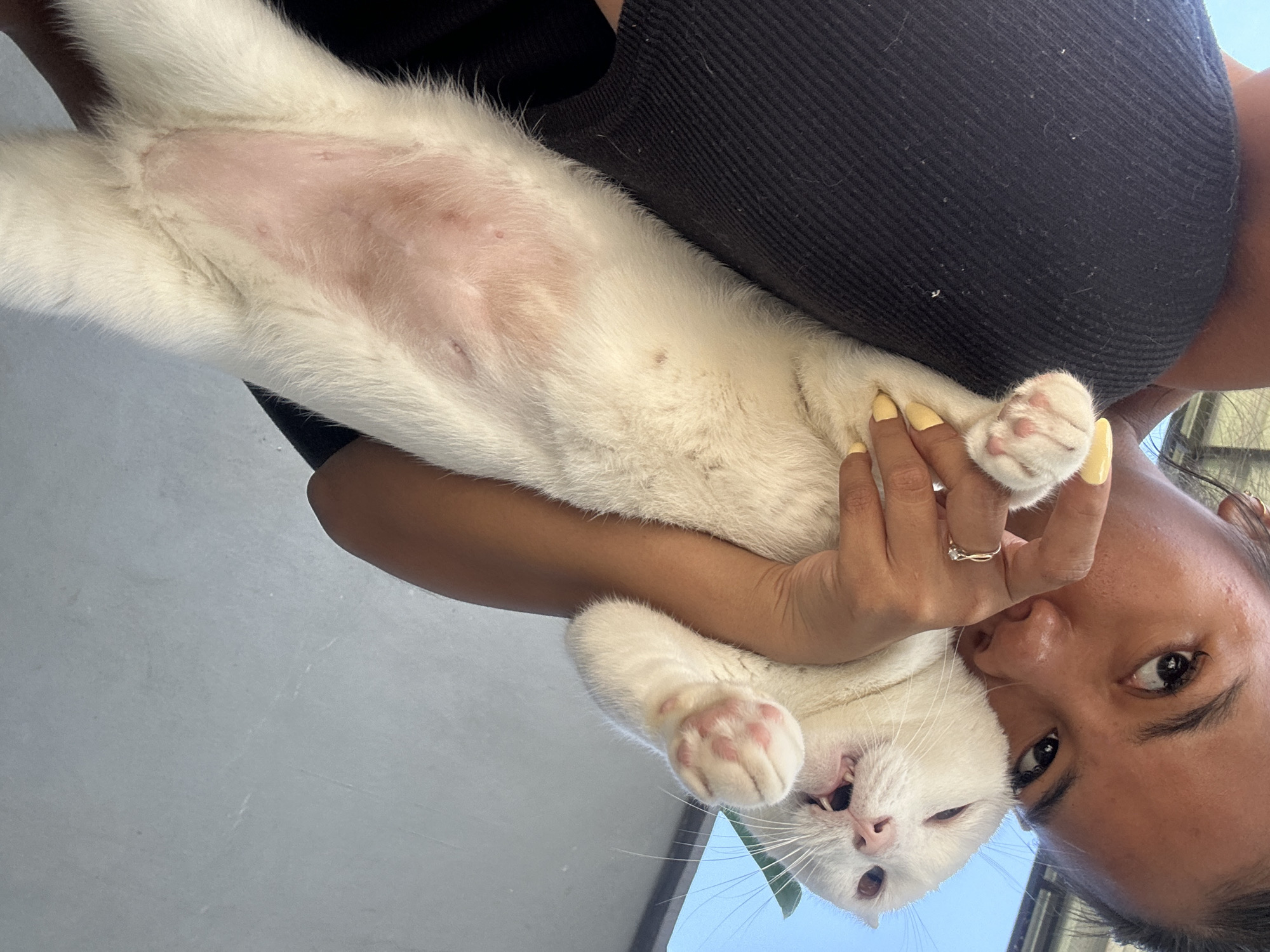 A person is holding a white cat in an upside-down, close-up shot. The cat's belly is exposed, showing pink skin with some darker spots. The person's face is also visible, looking towards the camera. The cat's paw is touching the person's chin. The background is blurred and appears to be outdoors, with a pale, textured surface that could be a wall or ceiling. The overall lighting is bright, suggesting daytime. The image is oriented such that the subjects appear to be hanging upside down.