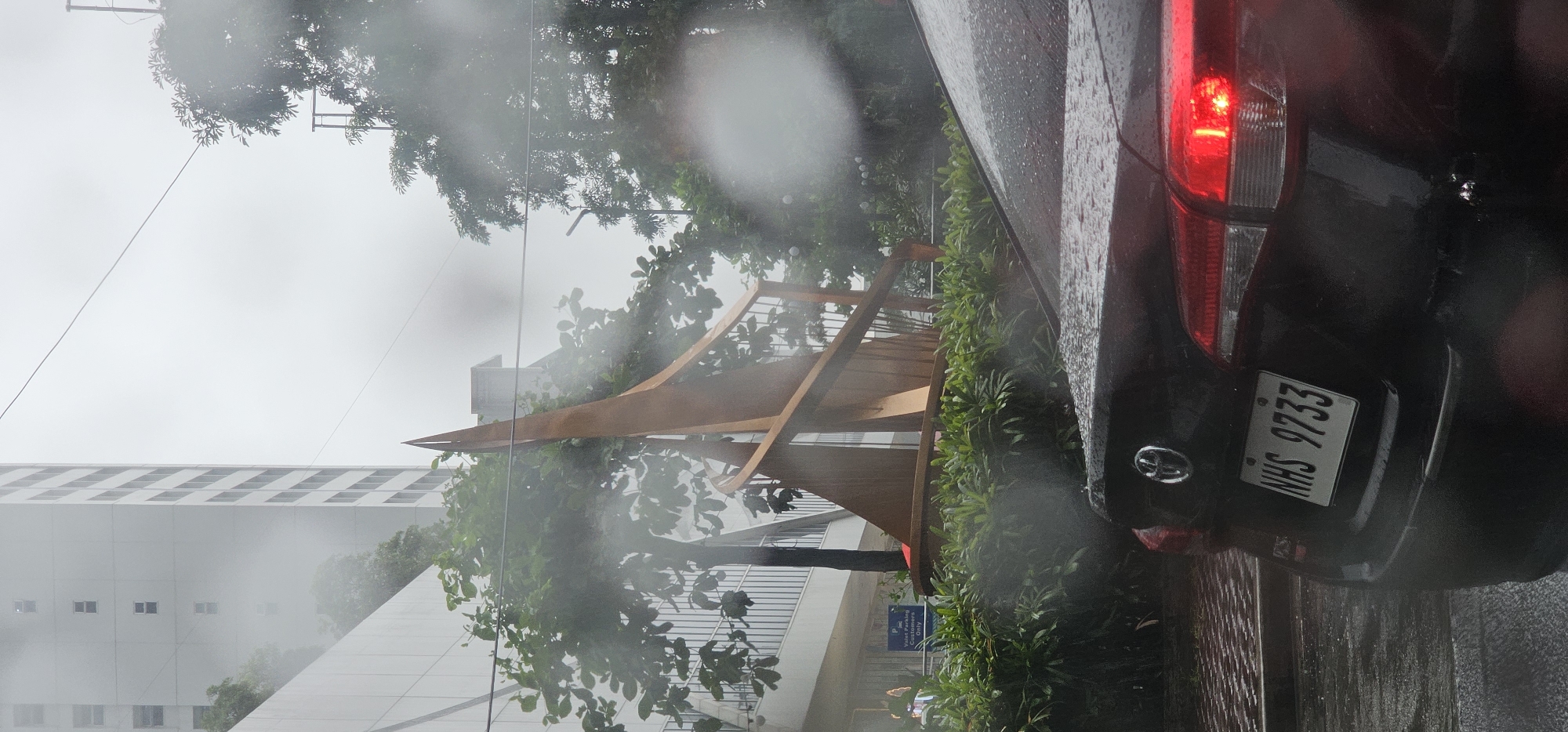 In Makati City, Philippines, on a rainy day, a vehicle with license plate "NHS 9733" is parked on a wet street. Behind the car, a large, abstract sculpture made of wood stands amidst lush green foliage and trees. A multi-story building with many windows is visible in the background. The scene is partially obscured by raindrops on the camera lens.