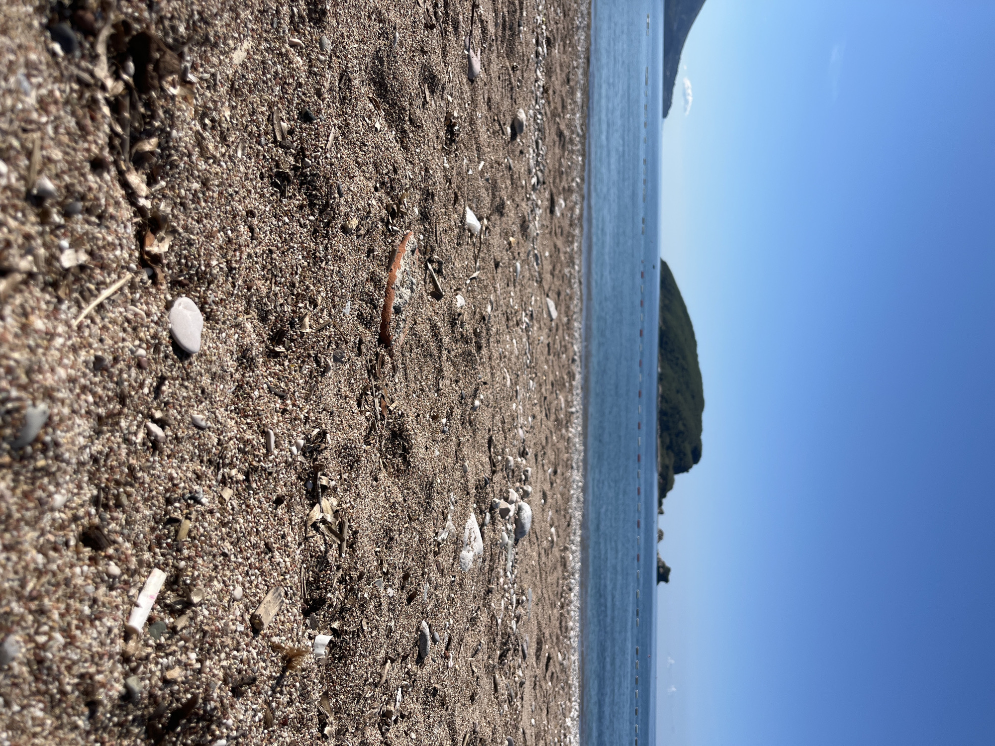 The image shows a beach in Budva, Montenegro, on a sunny day. The foreground is filled with sand mixed with small pebbles and some debris. A single, reddish-brown stick-like object is visible on the sand. The middle ground shows the edge of the water, with buoys visible in the water. In the background, there is a green, rocky island and a clear blue sky.