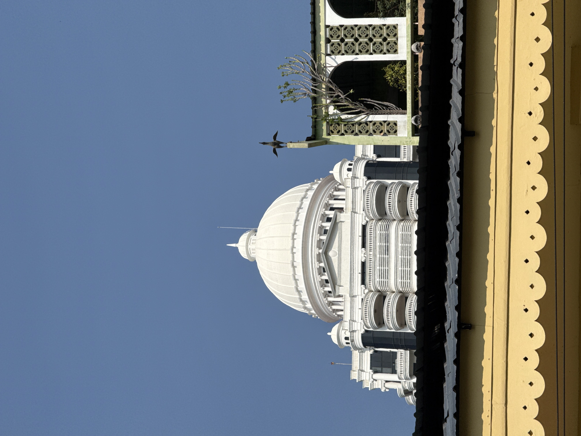 The scene depicts an urban architectural composition under a clear blue sky in Bangkok, Thailand. In the foreground, a yellow wooden eave with a scalloped, decorative edge featuring recessed diamond shapes spans the bottom of the frame, partially shadowed. Above this, a dark grey corrugated metal roof is visible.
In the mid-ground, to the right, a lighter green building with a flat roof, a patterned white frieze, and a series of arched openings is present. On the roof of this green building, a dark, stylized bird statue with outstretched wings stands atop a small pillar, and a sparse, multi-stemmed plant is growing.
The background is dominated by a grand, neoclassical-style white building, identifiable as the Ananta Samakhom Throne Hall. This structure features a prominent central white dome, encircled by columns and topped with a slender spire. Below the main dome, multiple levels exhibit arched windows, balustraded balconies, and intricate classical architectural details including pilasters and entablatures, contrasting with dark recessed window areas. The side wings of the building are also partially visible, maintaining the consistent white classical design. No individuals are present in the image.
