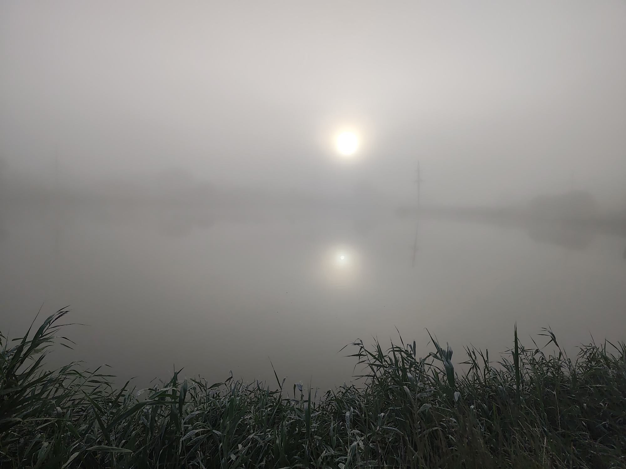 The image depicts a foggy morning scene over a body of water, likely a lake or river, in Khroly, Ukraine. The sun is visible as a bright, diffused disc in the upper center of the frame, its light creating a hazy glow that obscures distant features. A reflection of the sun is visible on the water's surface below. Tall reeds or grasses line the foreground, their green blades damp with what appears to be dew or mist. In the middle distance, faint silhouettes of what might be trees or structures are barely discernible through the fog. The overall atmosphere is serene and tranquil, characterized by the soft light and the stillness of the water.