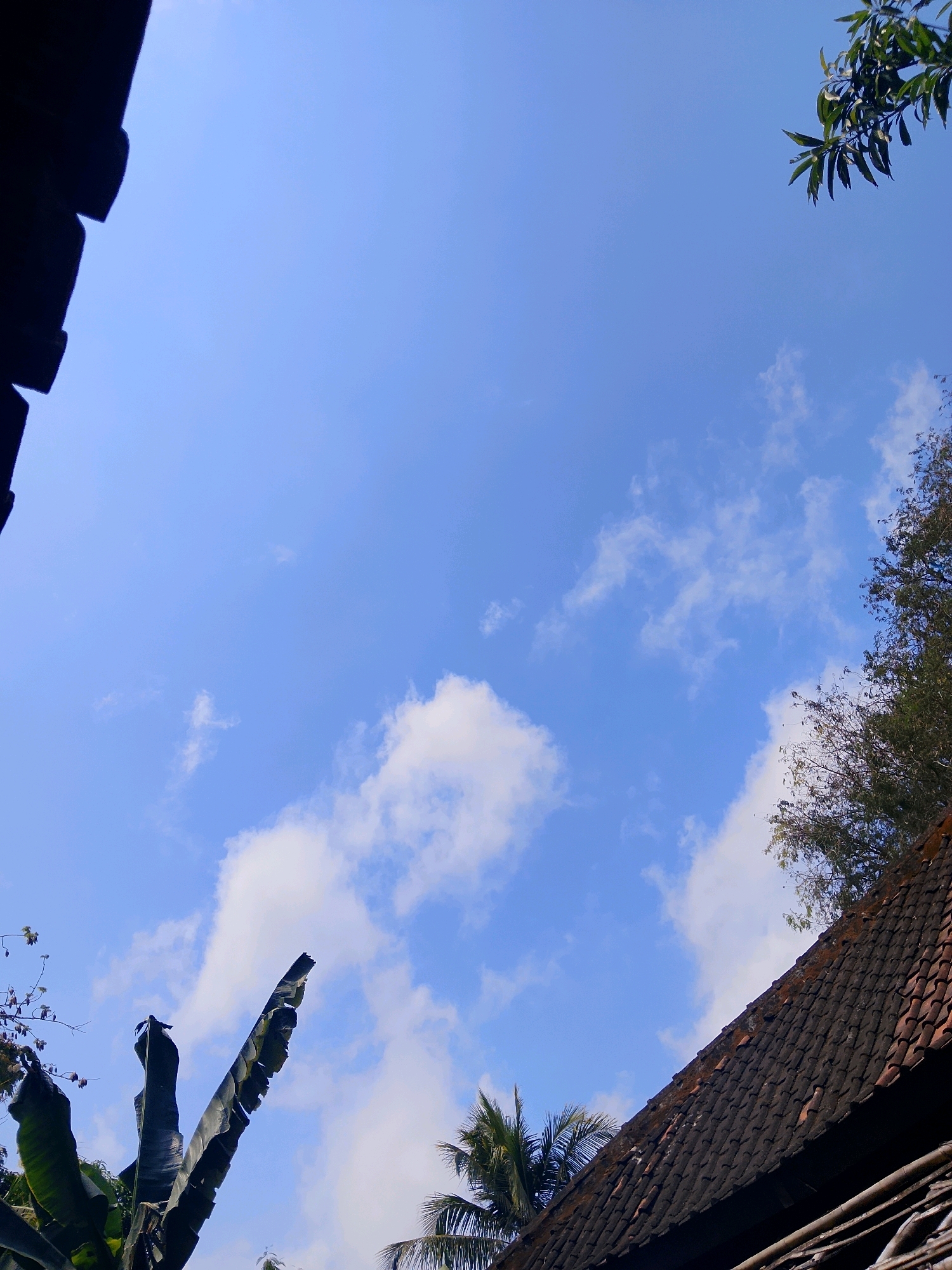 A low-angle outdoor shot captures a bright blue sky dotted with scattered white clouds. In the foreground, elements of man-made structures and natural foliage are visible. On the left side, a dark, silhouetted roof edge is prominent. Towards the bottom left, large, dark green banana leaves are angled upwards. On the right side, a section of a tiled roof, dark with age and possibly moss, slopes diagonally across the frame. Above and behind the roof, lush green trees with dense foliage rise into the sky. A small branch with green leaves is also seen in the upper right corner. The scene suggests an outdoor setting, possibly in a tropical or sub-tropical environment, under a clear, sunny sky.
