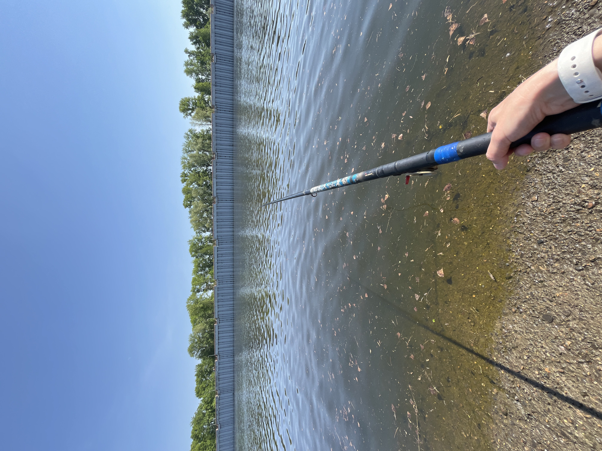 The image depicts a body of water, possibly a lake or river, with a metal retaining wall and trees visible along the shore. A person is holding a fishing rod, with the line extending into the water. The shoreline appears to be a mix of water and gravel. The water contains some debris, such as leaves or twigs. Based on the mention of Chaikovsky, Russia, this could be a location along the Kama River or one of the nearby lakes or reservoirs in the area.