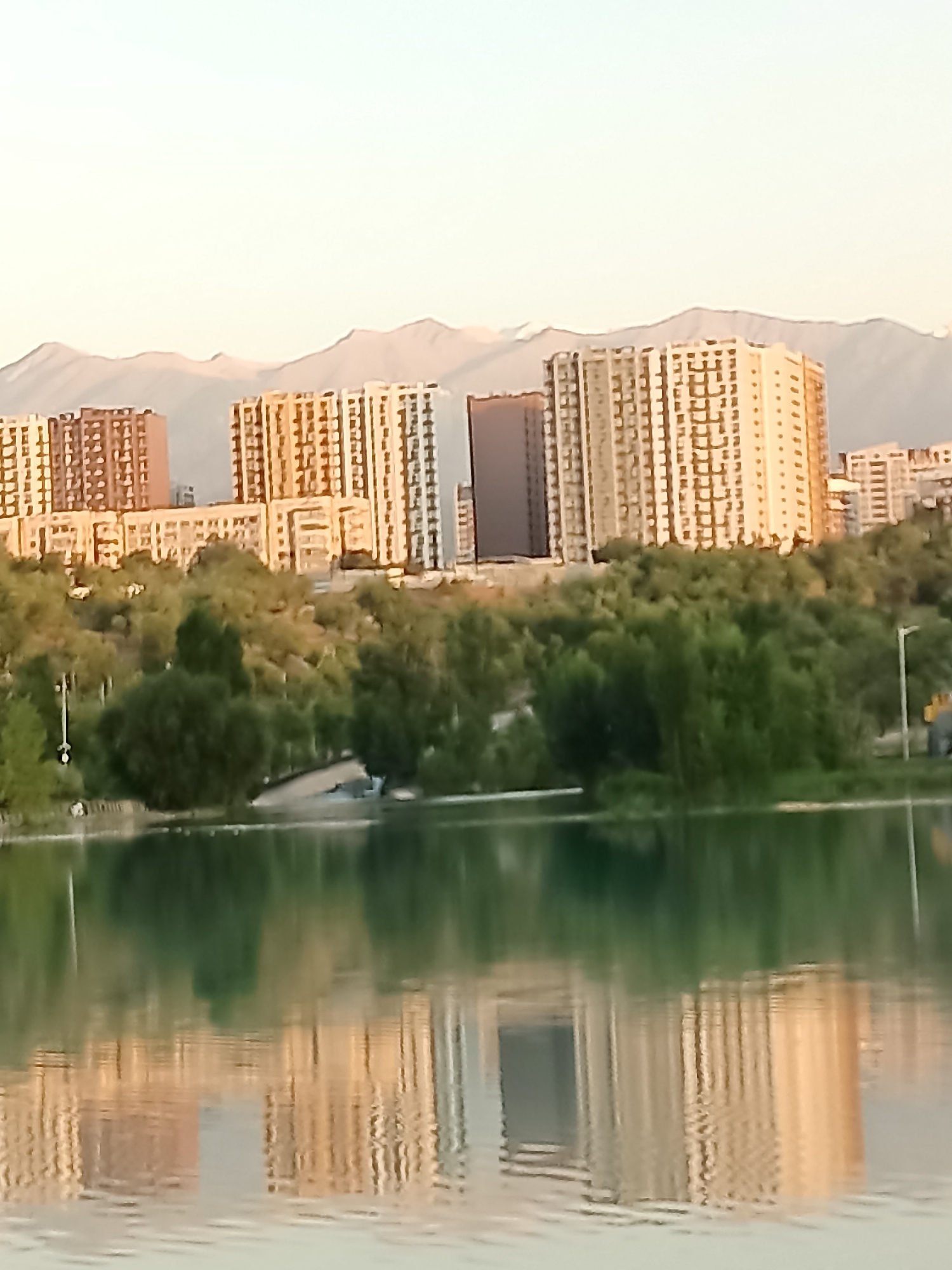 An outdoor, eye-level, horizontal medium shot captures a tranquil lake reflecting the golden light of a sunset or sunrise. The lake is in the foreground, its surface disturbed by ripples, creating distorted reflections of the scene above. Behind the lake, a line of lush green trees forms a natural barrier. Beyond the trees, a cluster of modern, light-colored apartment buildings with many windows rise up. Further in the background, distant mountains with snow-capped peaks are visible under a pale sky. The overall scene suggests a peaceful urban park setting within Almaty, Kazakhstan, likely in the evening or early morning. There are no people or animals clearly visible in the image.