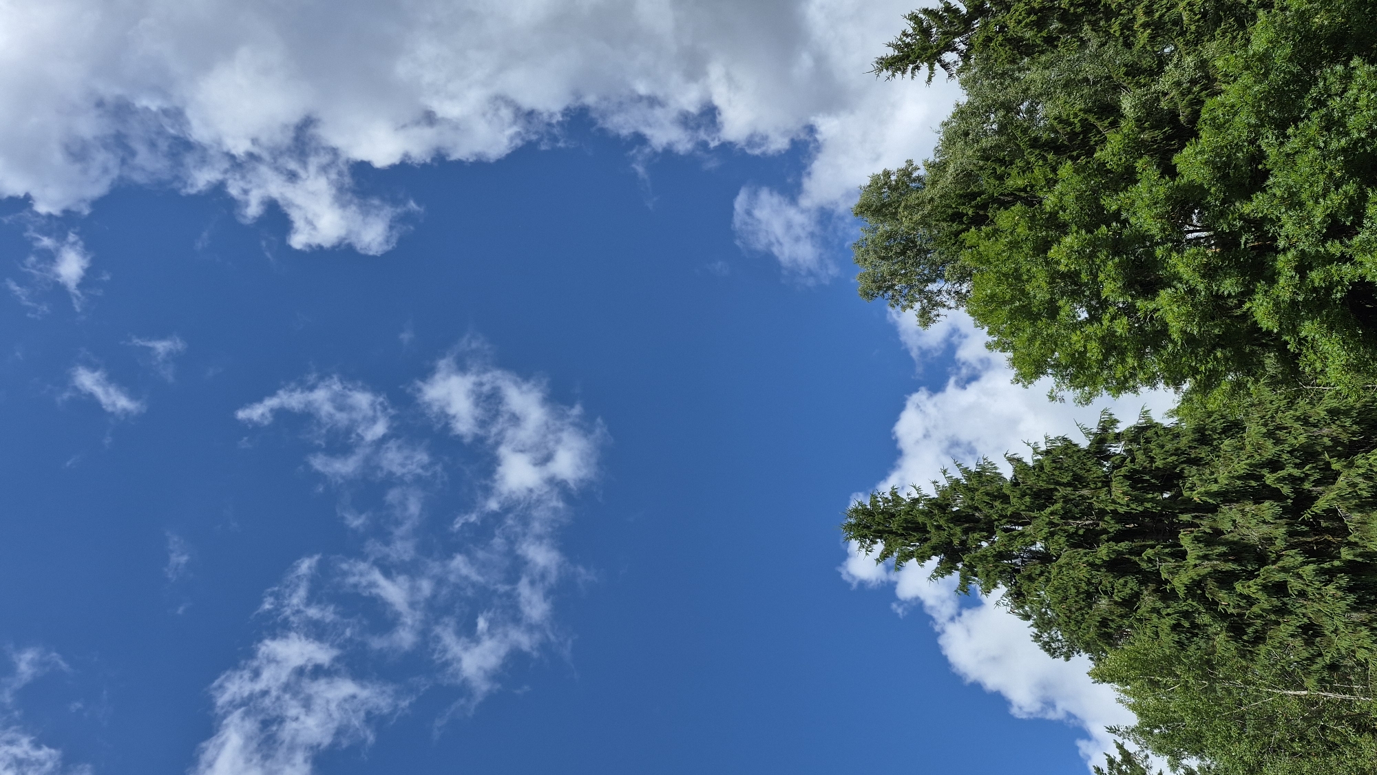 The image shows a dense canopy of green trees against a bright blue sky with scattered white clouds. The trees are varied in type and height, with some appearing to be evergreen conifers and others deciduous trees. The lighting suggests it is daytime, with sunlight illuminating the upper portions of the trees and clouds. The scene is likely an outdoor natural environment. The location is specified as Ļūbaste 0001, Latvia. There are no people or visible actions in the image.