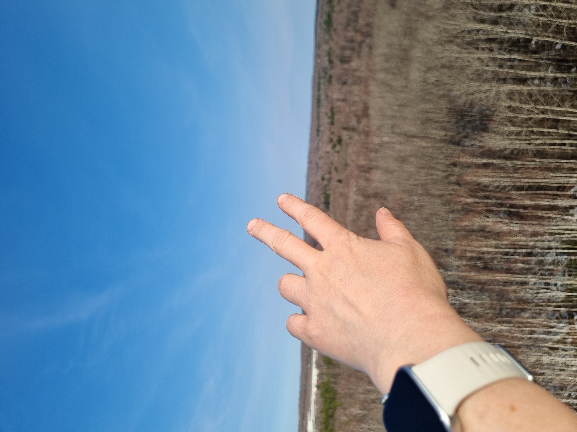 The image shows a landscape scene with a clear blue sky covering the left portion of the frame. On the right, there is a dense forest or area of trees with a predominantly brown and muted green color palette. In the foreground, a person's hand is visible, displaying a two-fingered gesture ("peace sign"). The person is wearing a light-colored smartwatch on their wrist.
The location of the image is not discernible, and there is no explicit information indicating it is taken in Kemul, Russia. No objects, interactions, or city elements link the scene to this city.