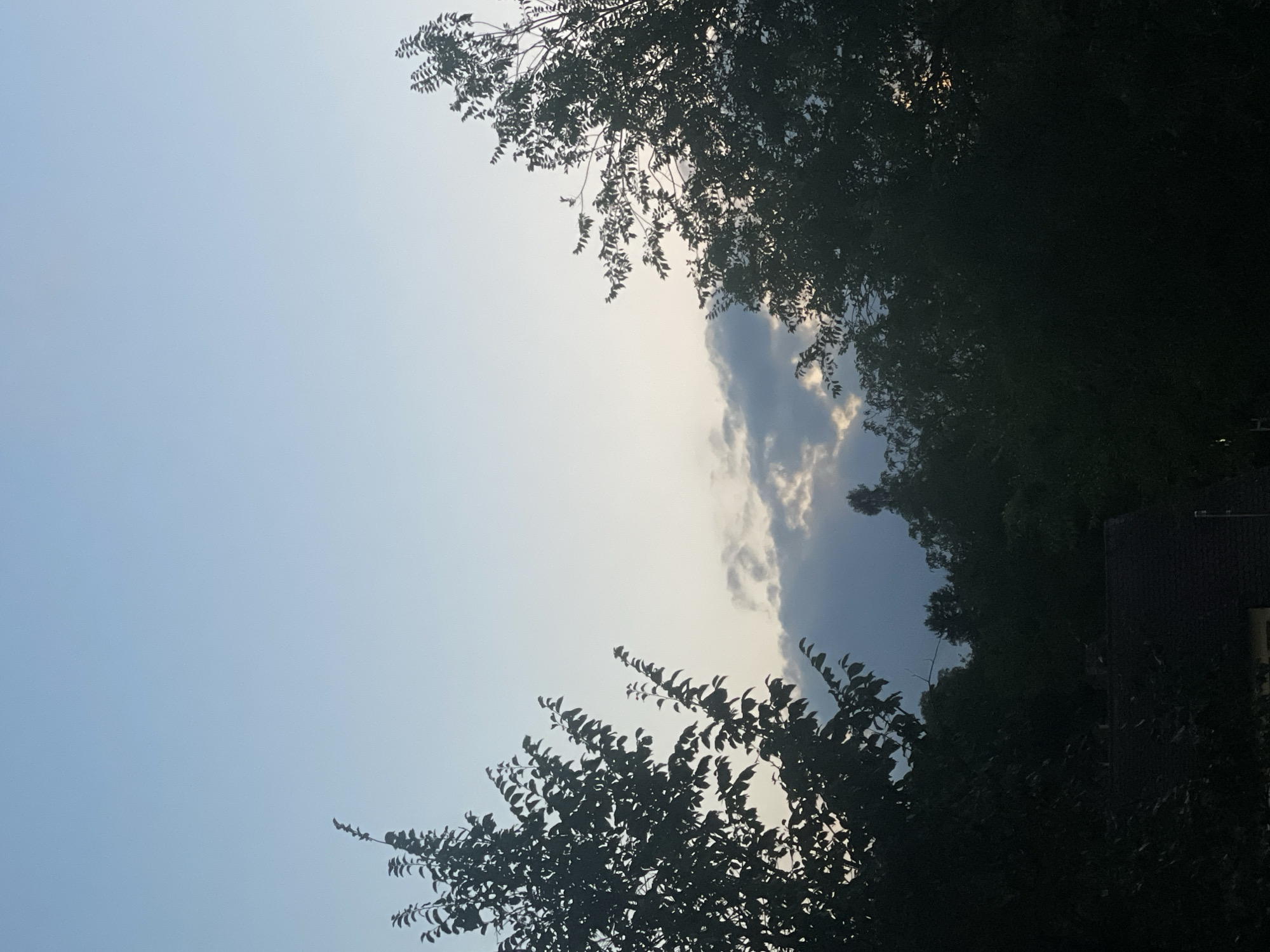 The image depicts a view of the sky at dusk, framed by the silhouettes of trees. The sky is a gradient of pale blue at the top, transitioning to lighter tones near the horizon where scattered clouds are visible. The clouds are a mix of dark gray and lighter, illuminated patches, suggesting the last rays of sunlight are breaking through.
On the left side of the frame, a tree with abundant leaves is silhouetted against the sky. Its branches extend upwards and to the right. On the right side, another tree similarly forms a dark silhouette, with its branches reaching towards the center of the image.
In the lower portion of the image, darker foliage and the roof of a building are visible, also in silhouette. The building appears to be a house with a dark, sloped roof. The overall impression is that of a natural scene viewed from a residential area, likely a backyard or garden.
The photograph was taken in Constance, Germany, during the evening. The clear sky and visible clouds indicate it is not a city center view, but rather a location with more vegetation, consistent with a suburban or peripheral area of Constance. The lighting suggests a time shortly after sunset. There are no people or overt human activity visible. The scene is static and focuses on the natural elements of the sky and trees, with a hint of human habitation in the background.