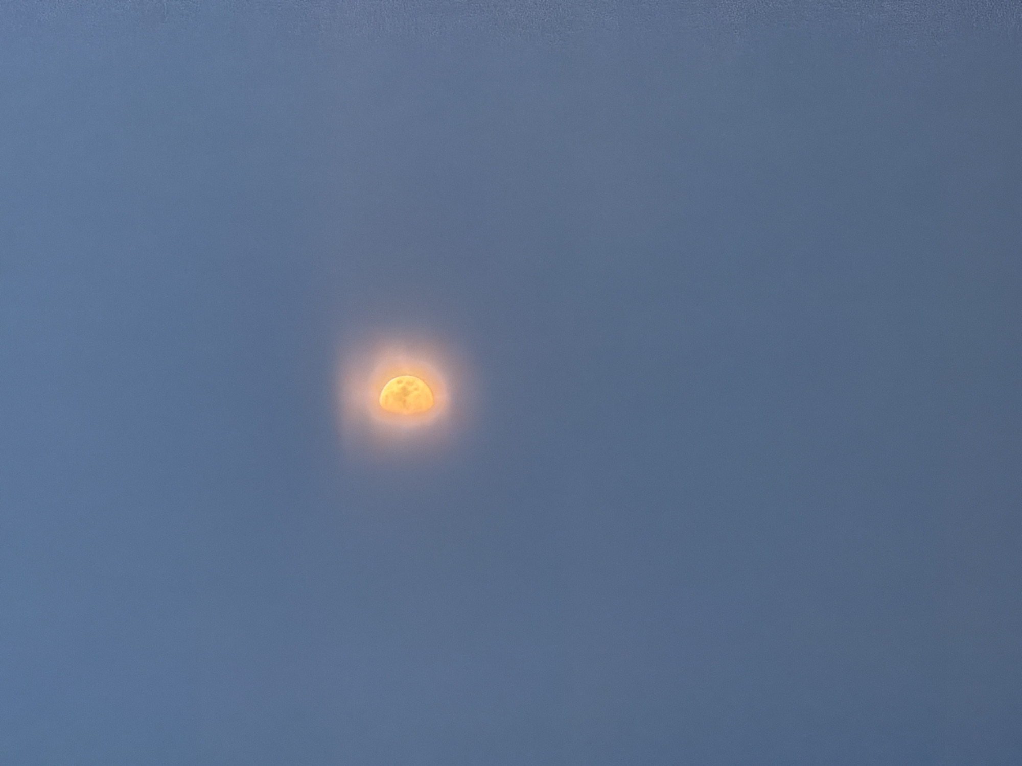 The image is a photograph of the moon, appearing partially obscured by thin clouds, in a dusky, blue sky. The moon itself is a bright, orange-yellow color and has a soft, diffused glow around it. The rest of the sky is a solid, muted blue, with a slight gradient of lighter blue at the top and darker blue towards the bottom. The image appears to be taken from an outdoor location in Kuseevo, Russia, though no specific landmarks or features of the city are visible. The composition is minimalist, focusing solely on the celestial body and the atmospheric conditions.