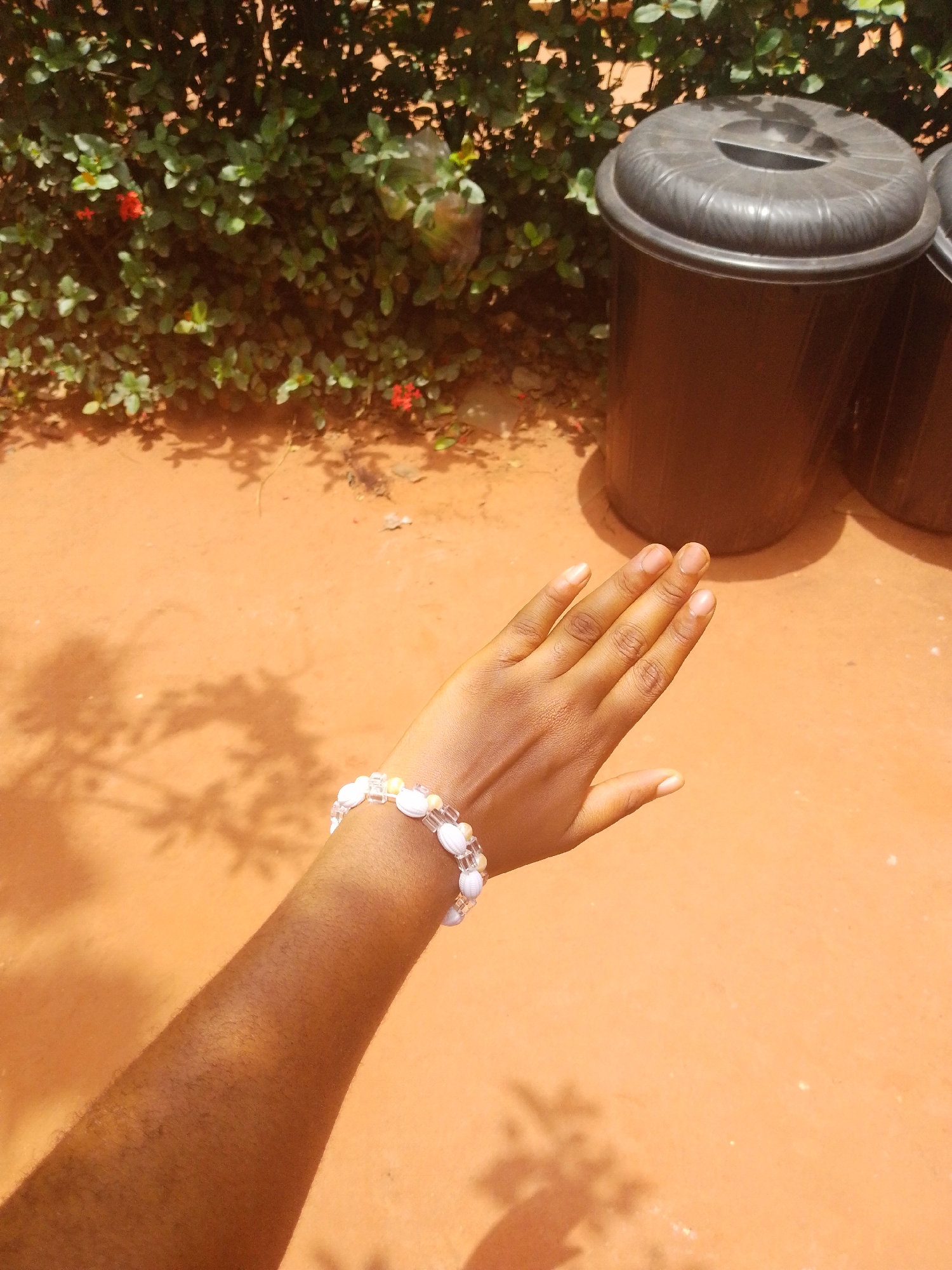 A close-up, outdoor shot displays a dark-skinned arm and hand adorned with a white and yellow beaded bracelet. The hand is extended upwards.
The background consists of red dirt ground with scattered shadows, a green leafy bush with small red flowers, and two black plastic garbage bins with lids.
Given the description, it is likely a residential area in the city of Nsukka, Nigeria, characterized by red dirt and common vegetation, with waste management containers present.